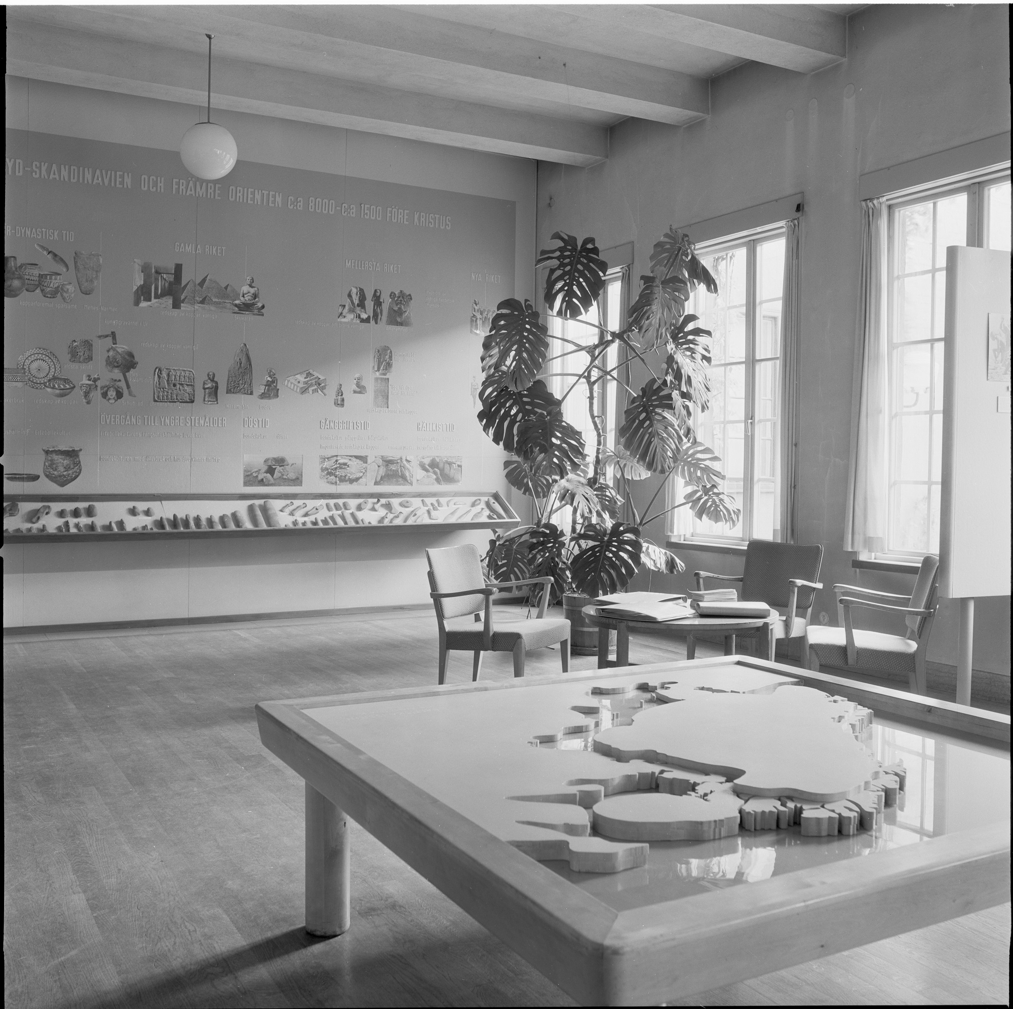 The History of Monstera Deliciosa, 2014