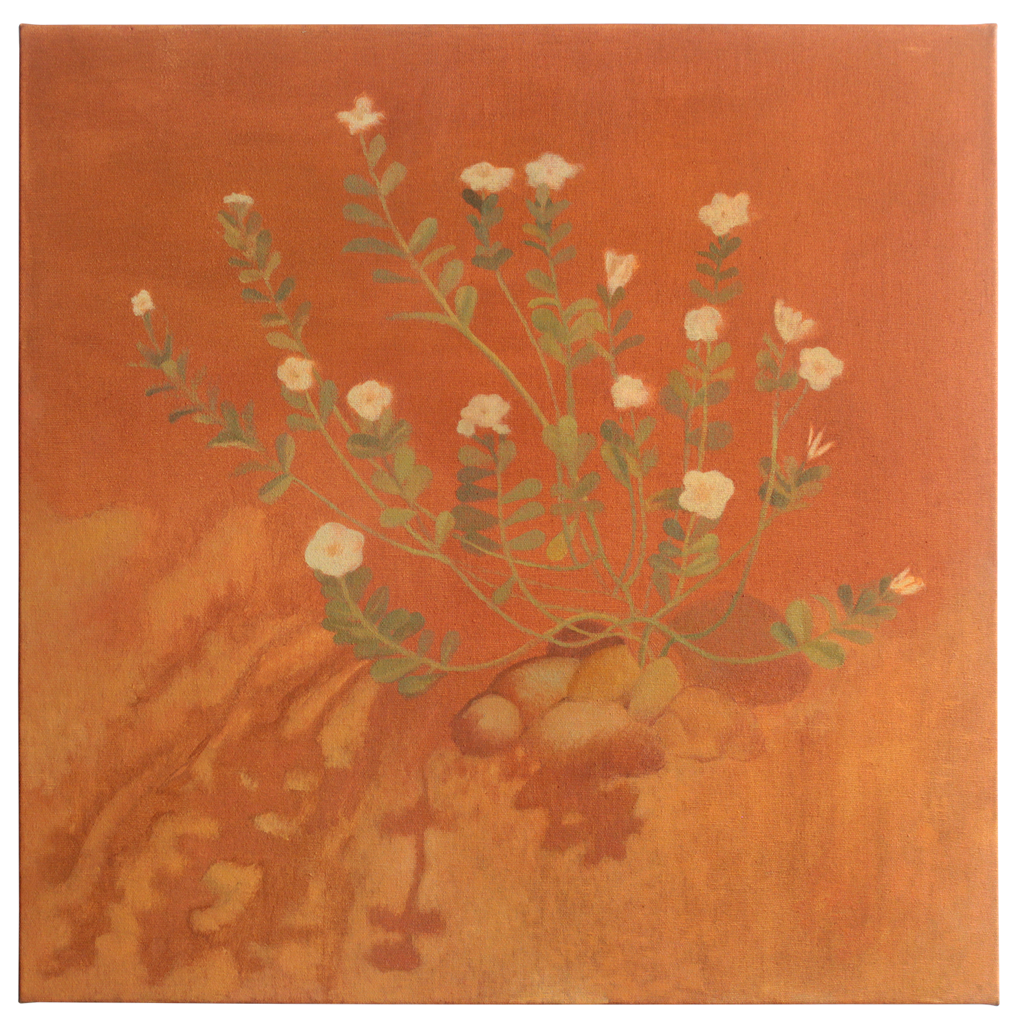 "Flores do mato", 2020, óleo sobre tela