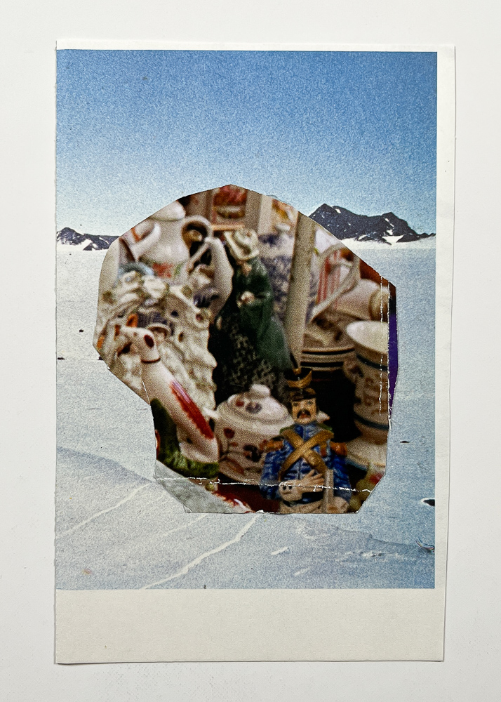 Sill life antarctica