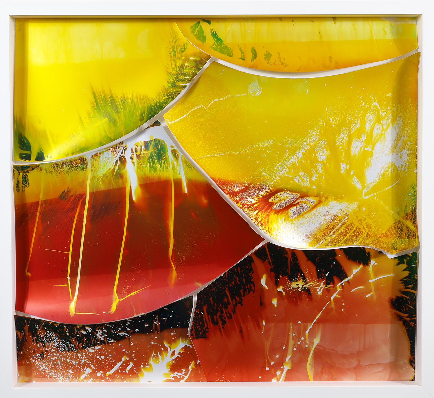 Mariah Robertson, 300, 301, 302, 303, 304, 305, 2023, photochemical treatment on RA4 paper, 30 x 27 inches
