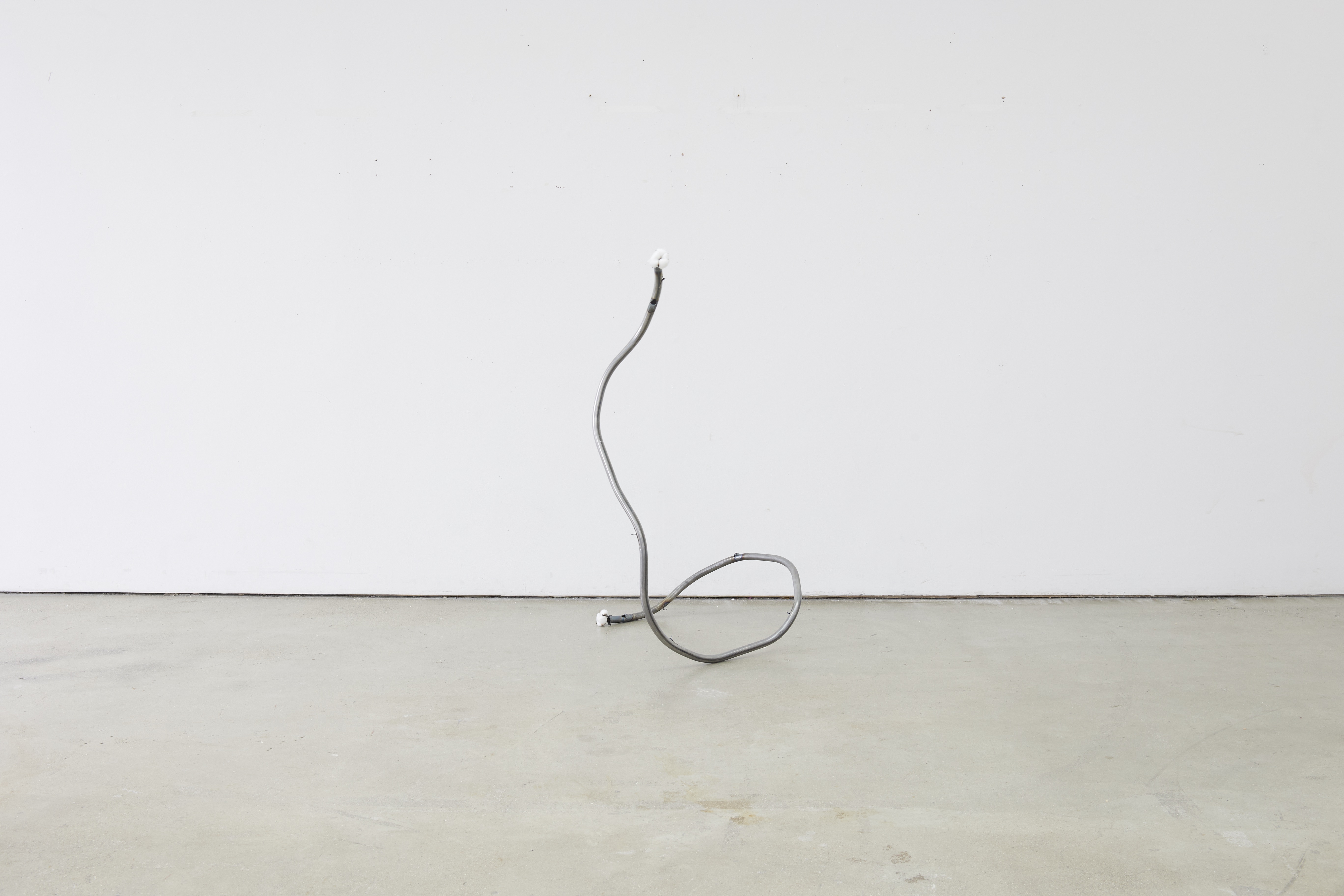 Cane and Able Series