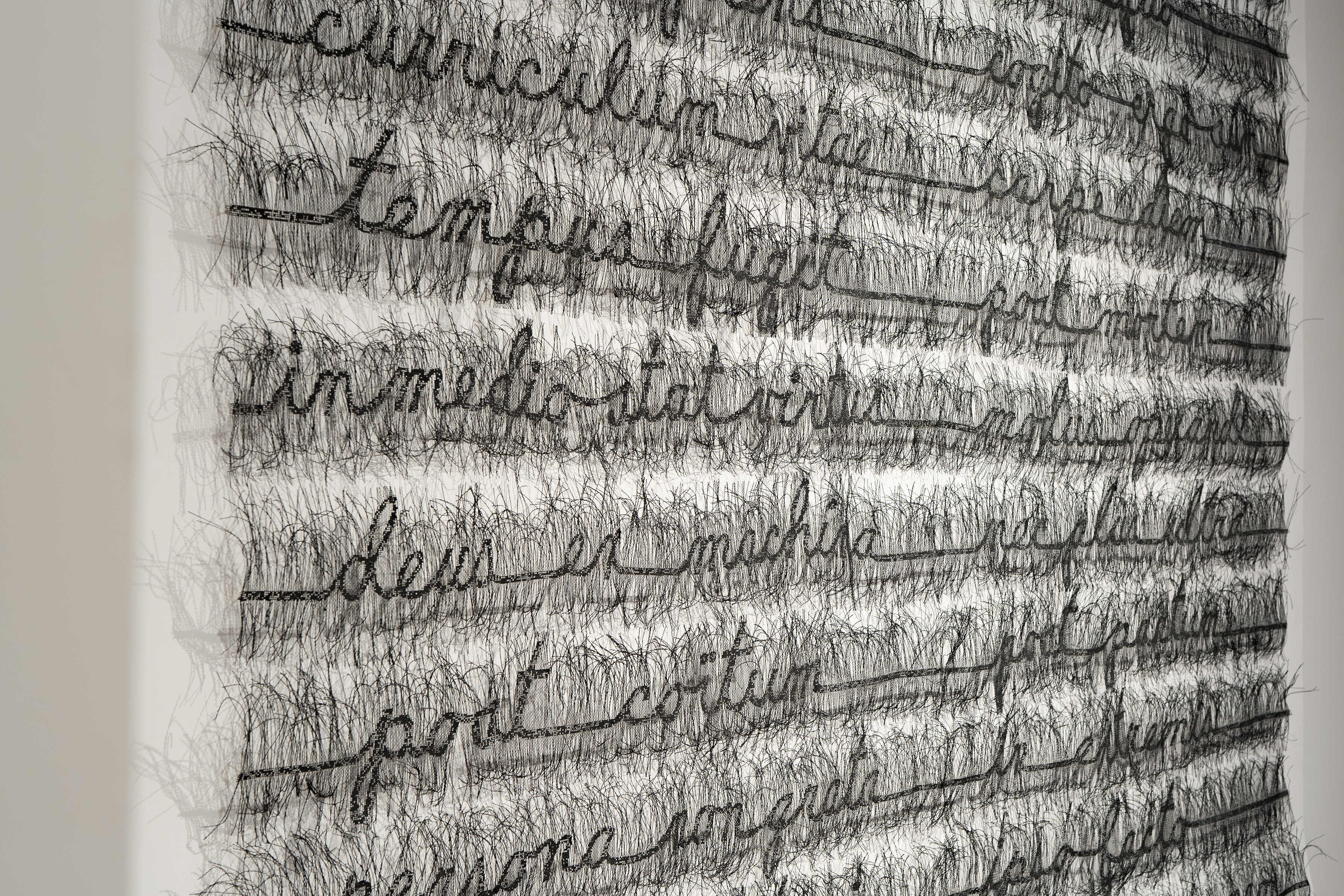 Lisette Lemieux, J'en perds mon latin, 2022. © Lisette Lemieux.