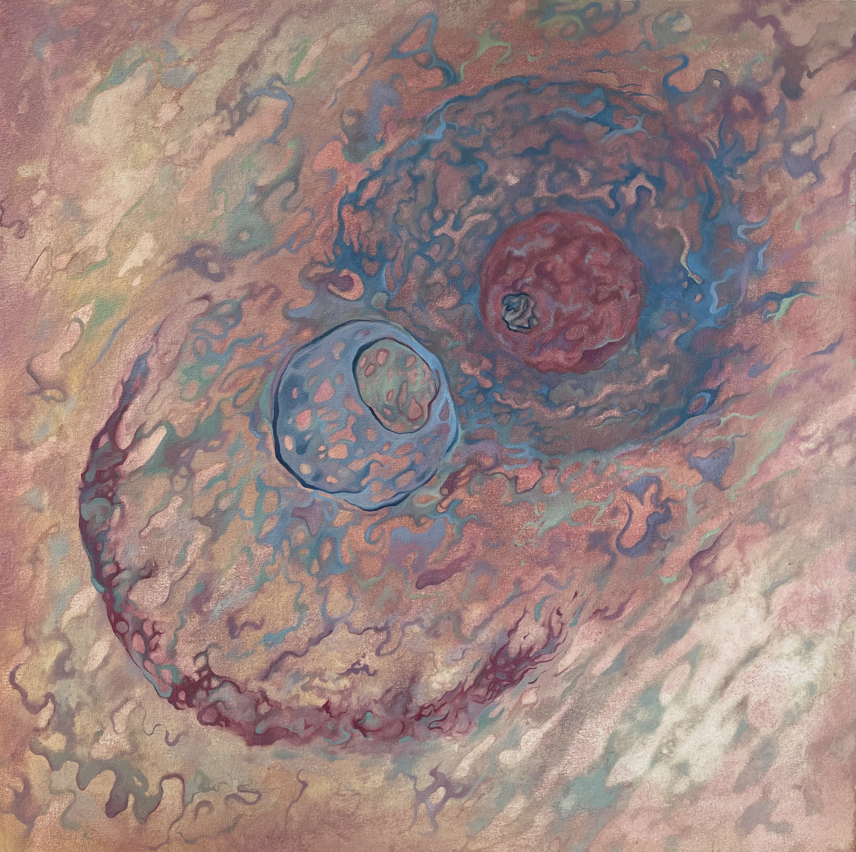 Blink. 36"x36". 2025. Oil on Canvas.