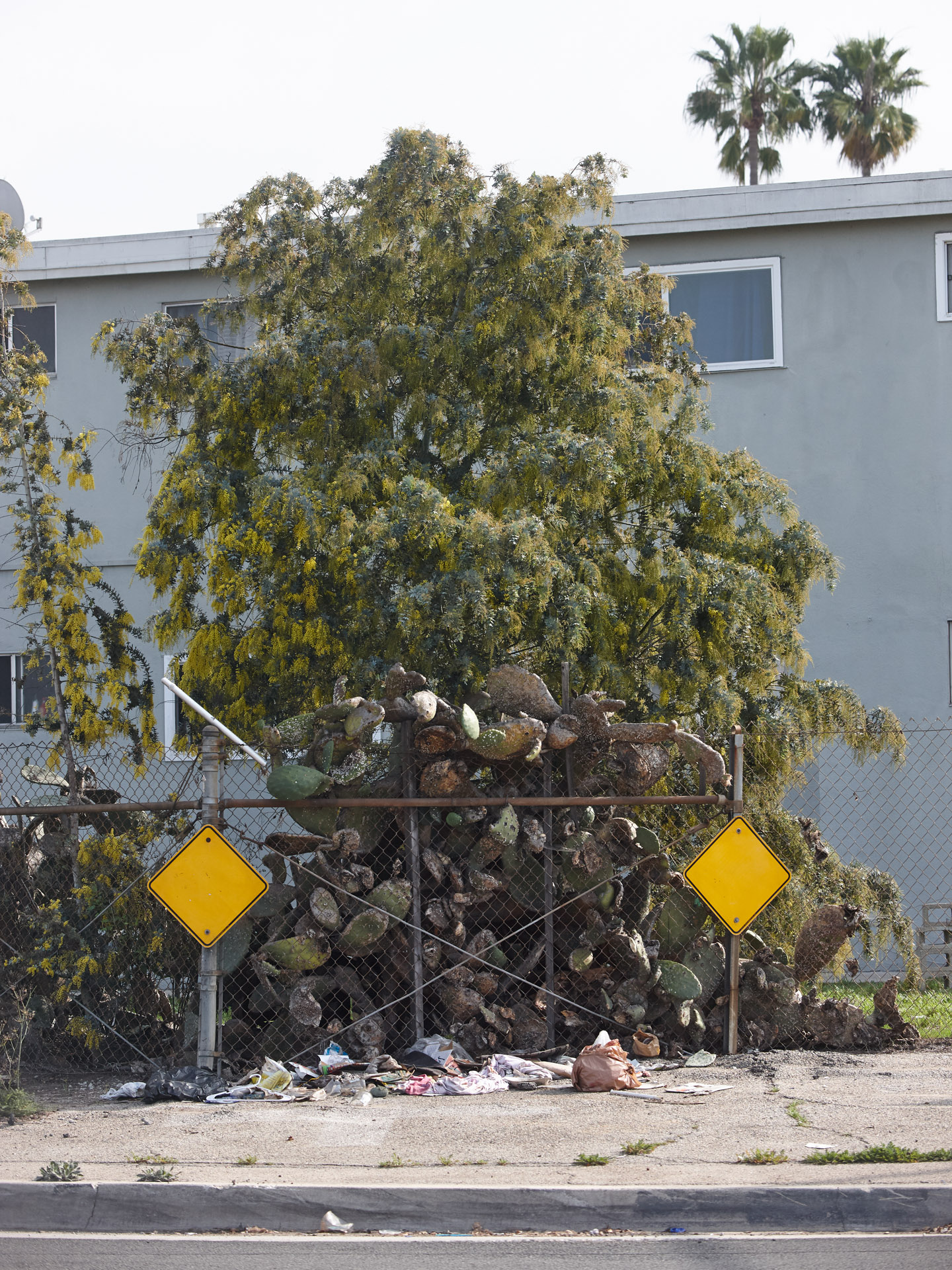 Landscape, Interstate 10 on-ramp on Cloverfield Boulevard, Santa Monica, January 2022.