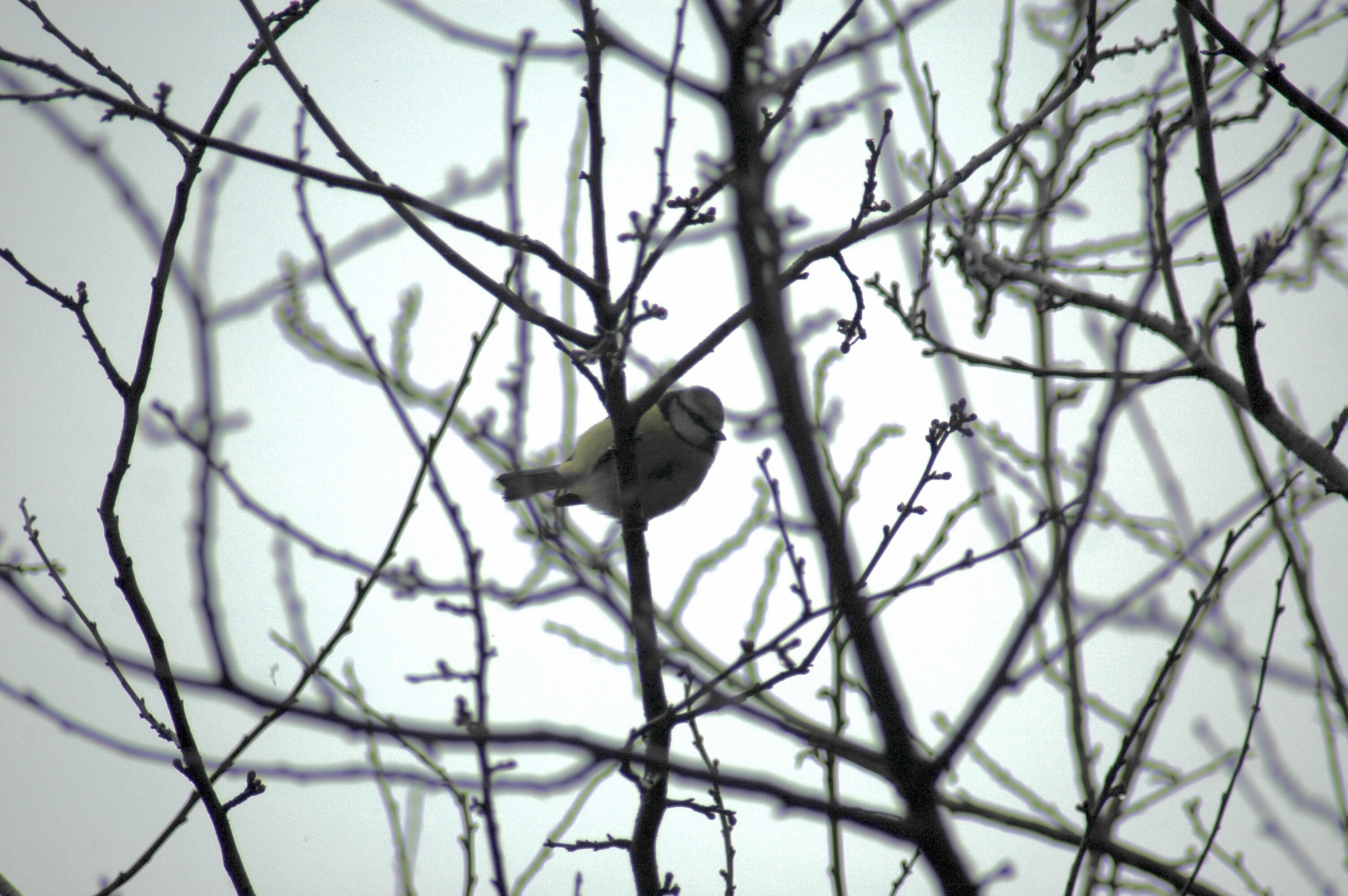 12.02.2021, Lojman bölgesi