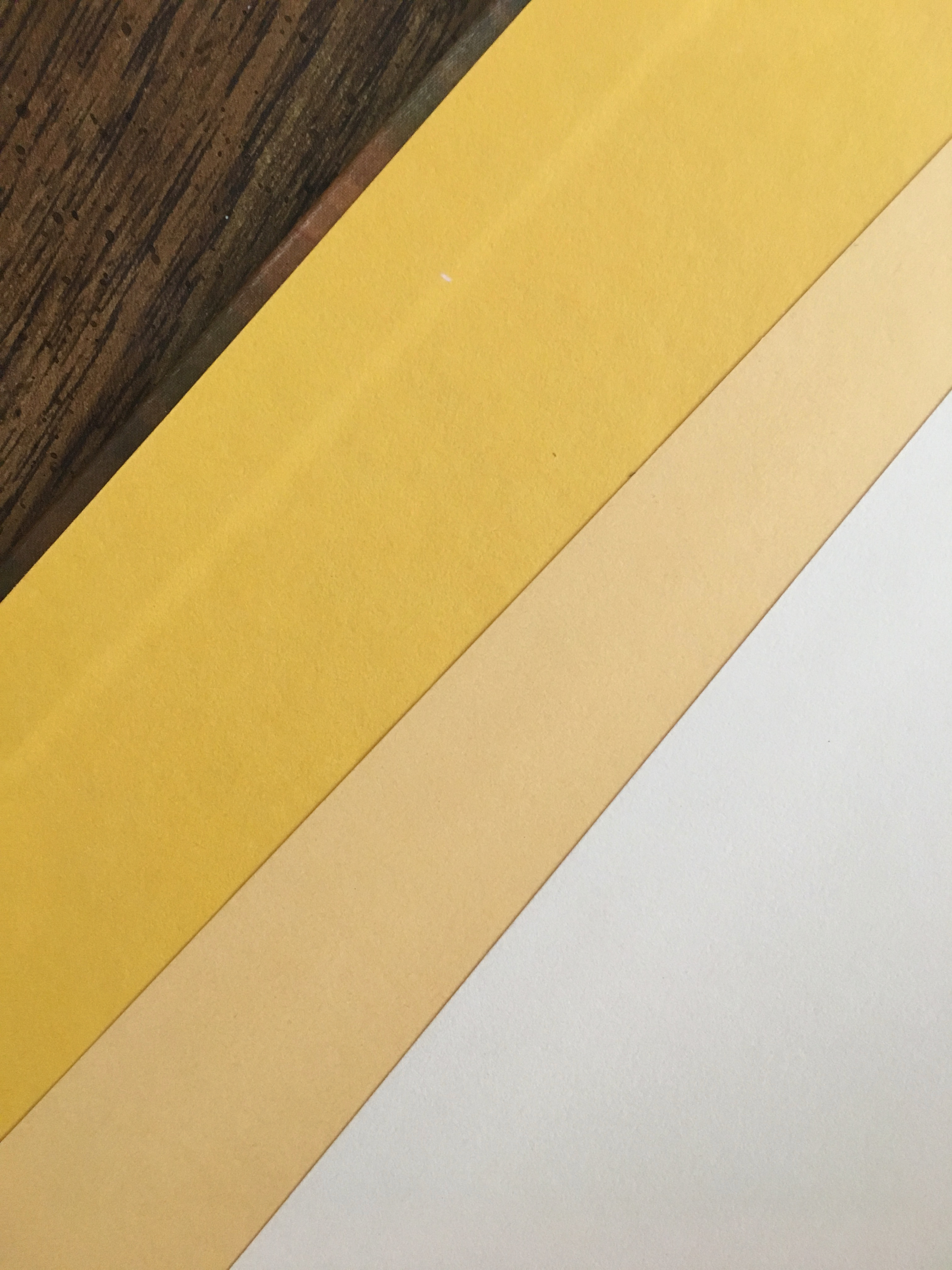 Endpaper (Detail)