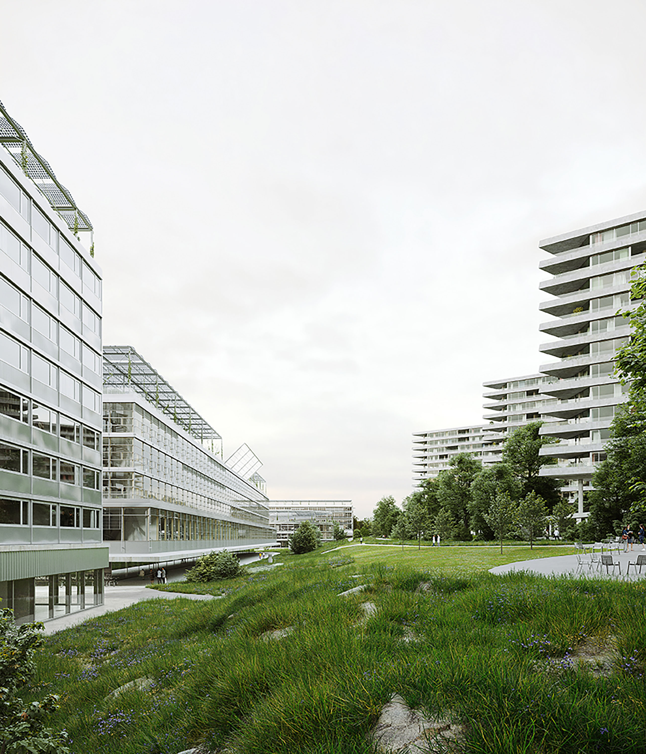 jan kinsbergen - laussane