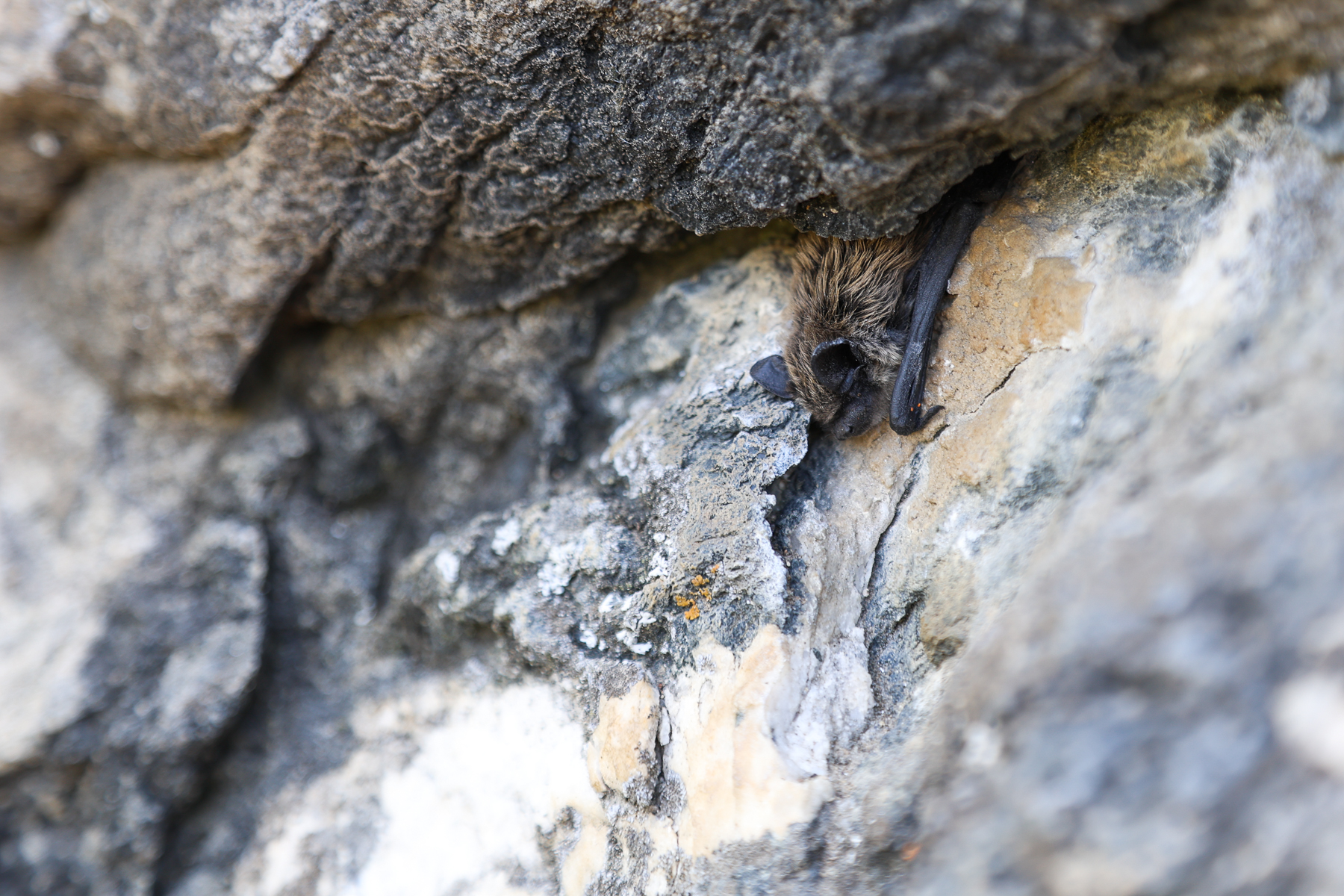 Wallis, Switzerland, 2023