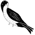 Illustrations - Benedito Hotel SP