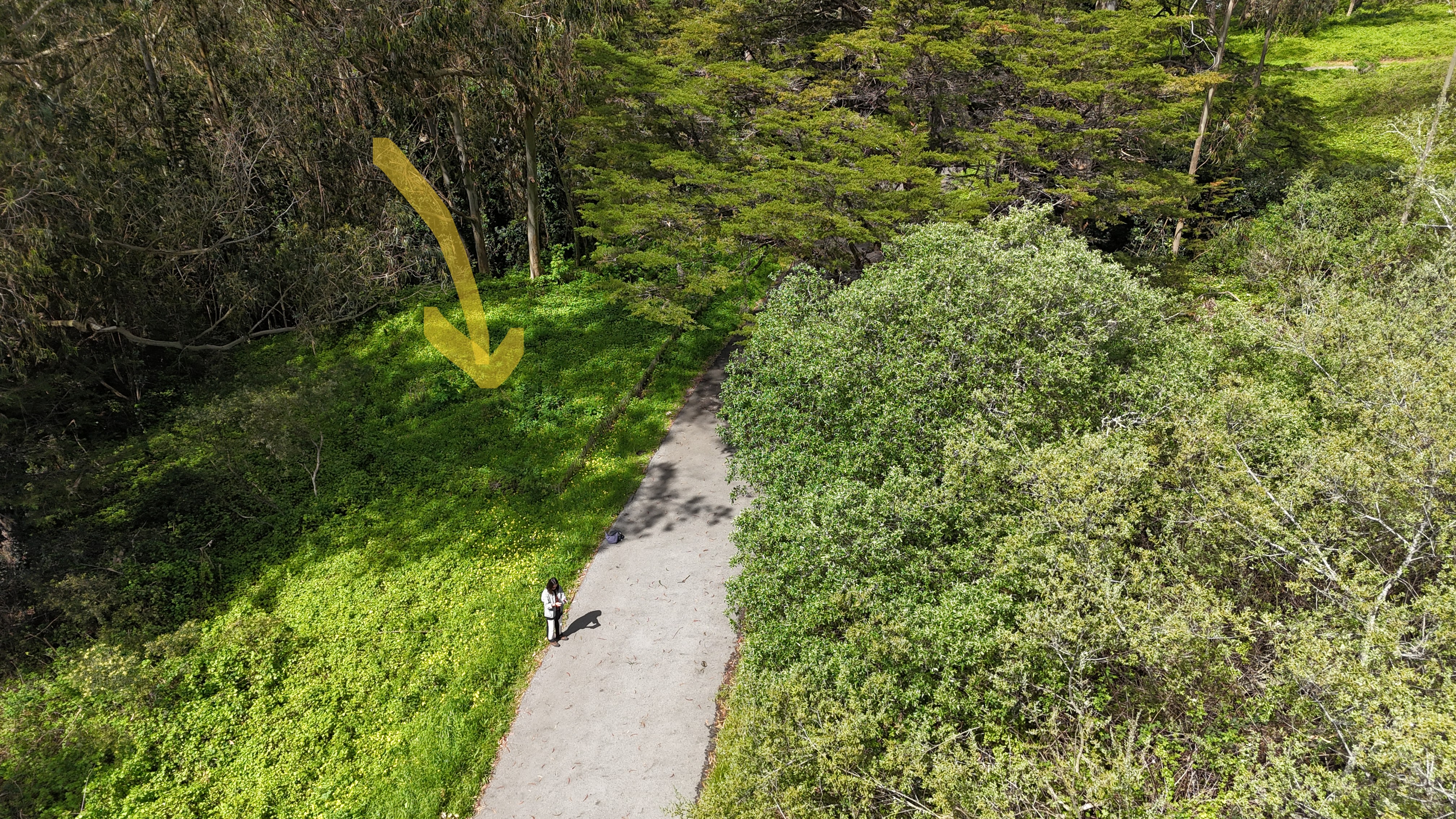 I'm concentrating on not crashing the drone 