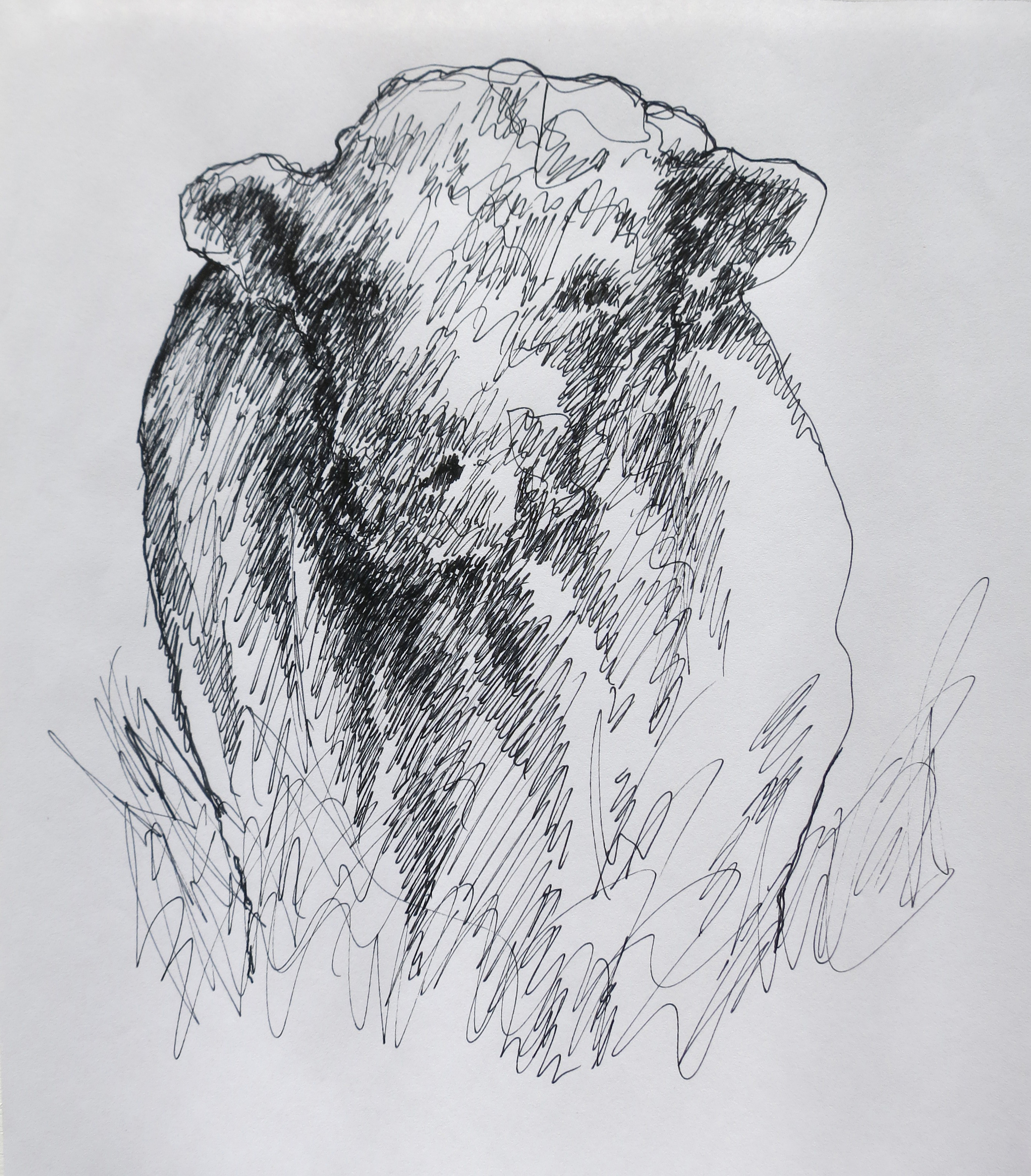  Ink on paper &ndash; 11&rdquo; x 8&rdquo; 