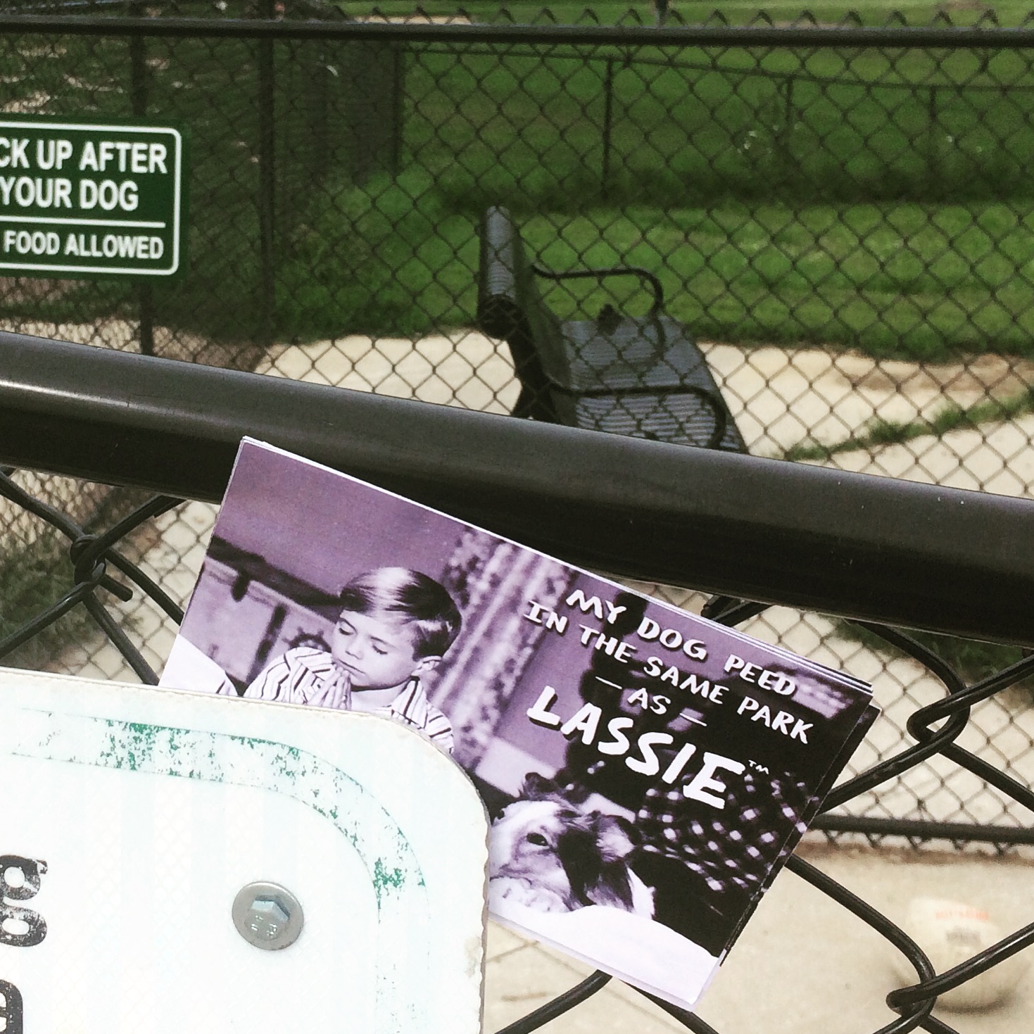 I left Cole's card at a huge dog park near downtown Kansas City.