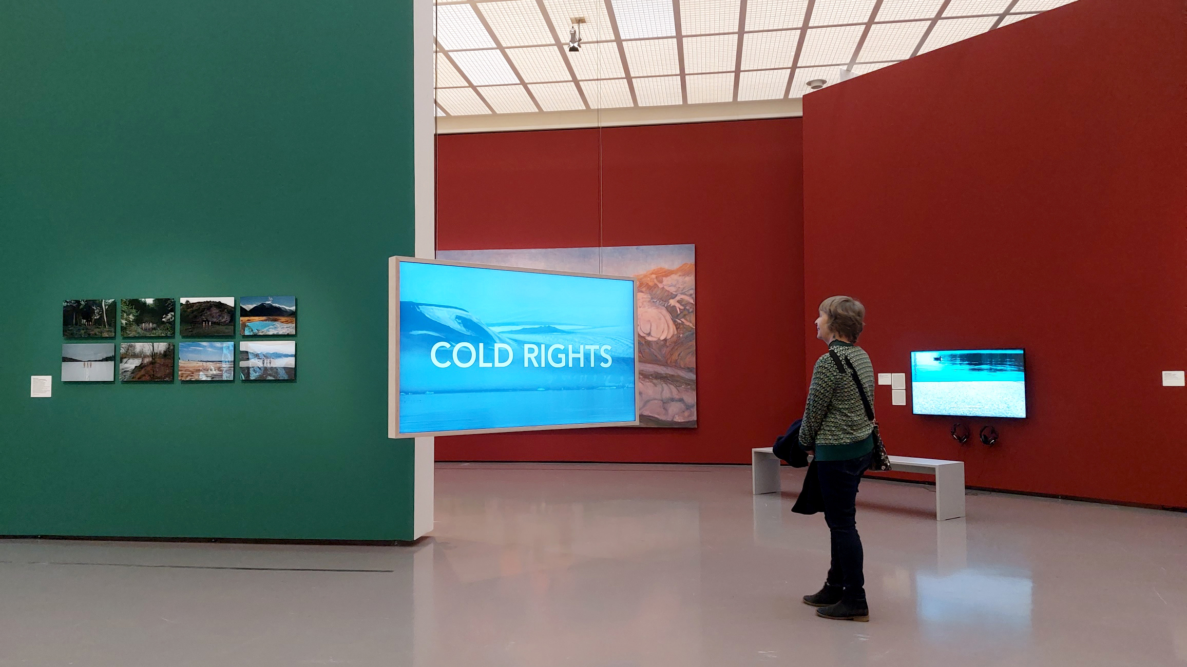 COLD RIGHTS - SUSAN SCHUPPLI