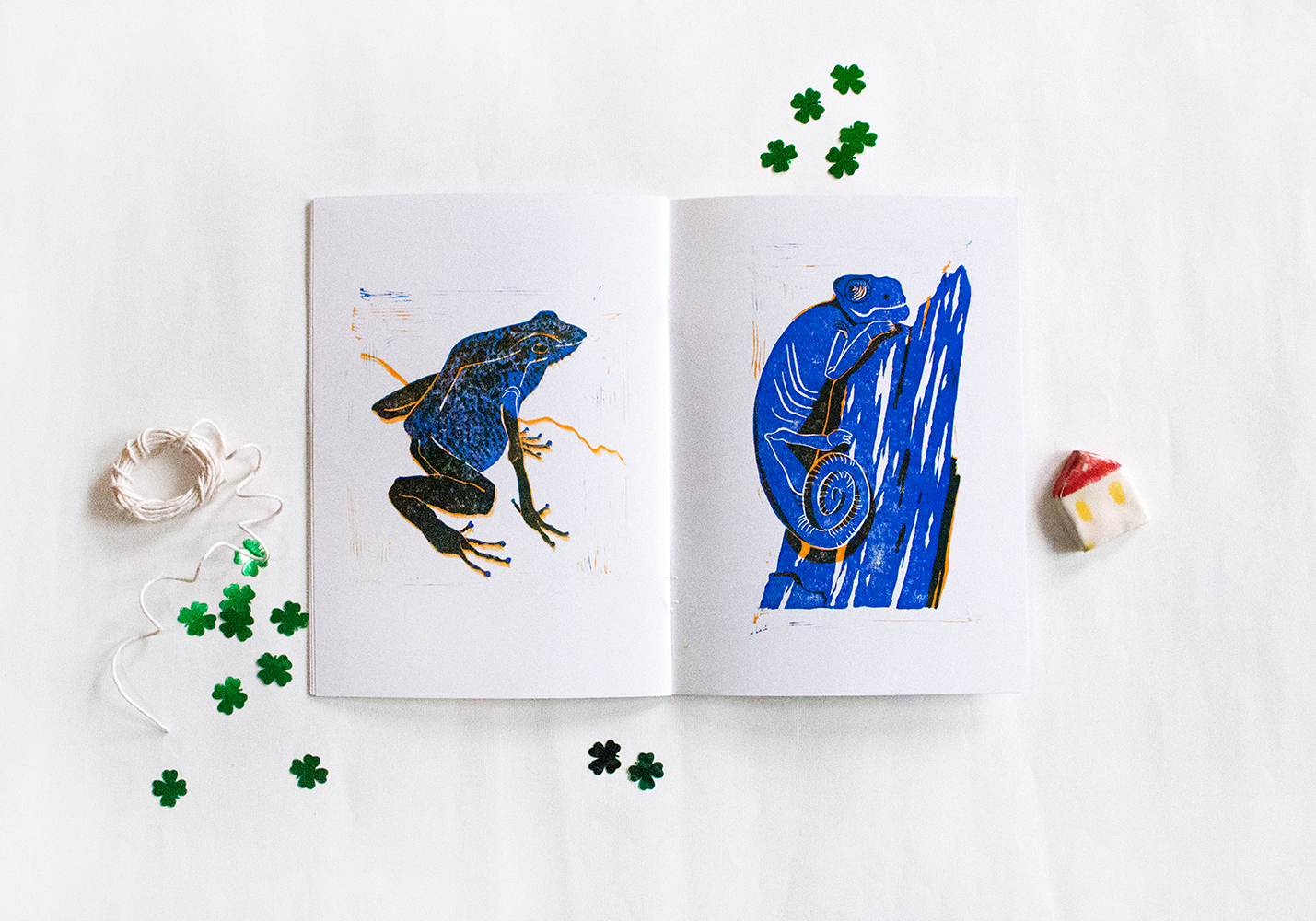 A frog and a chameleon