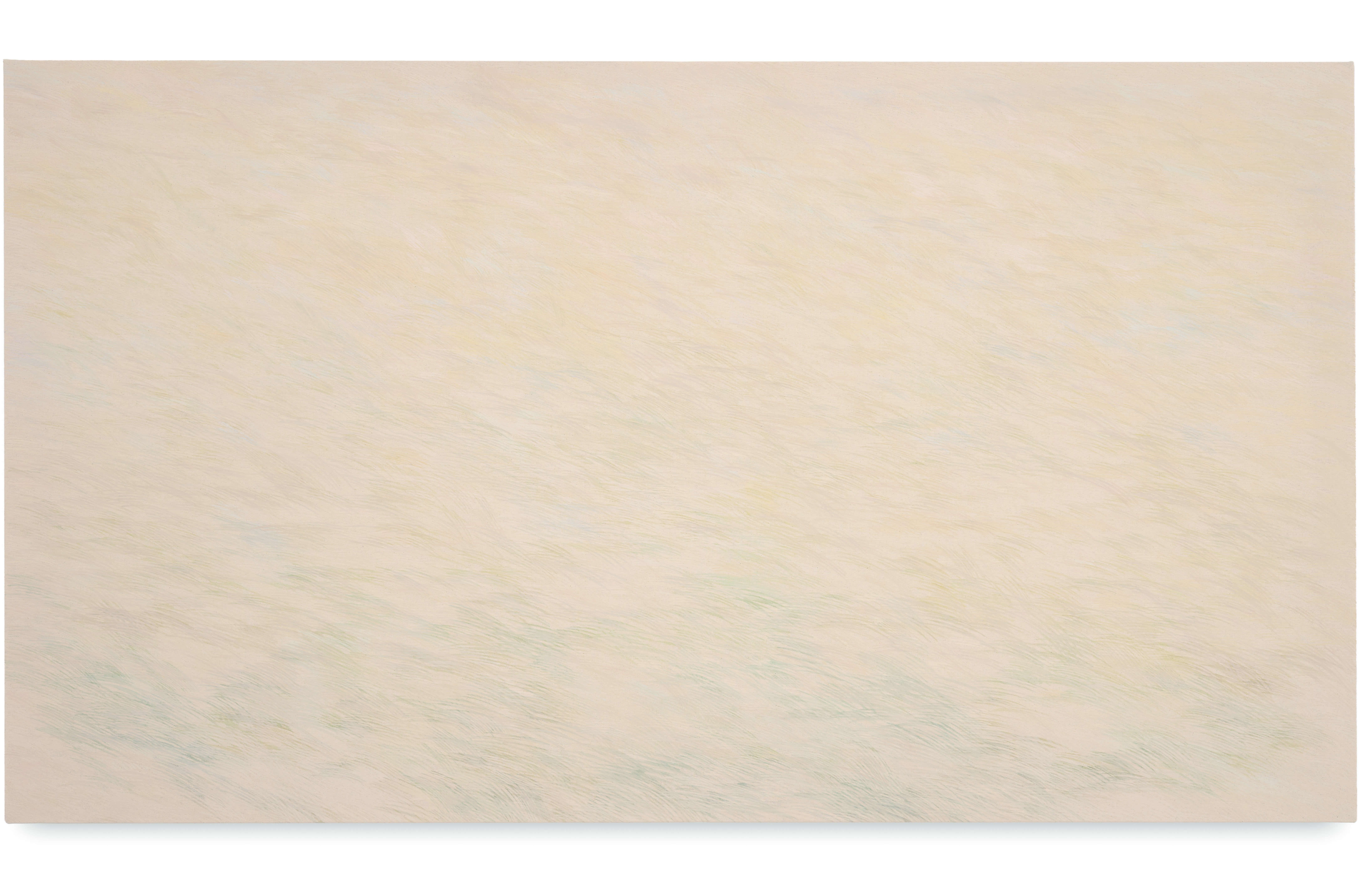 Mist and puddles, 2023, oil on calico, 90x160cm