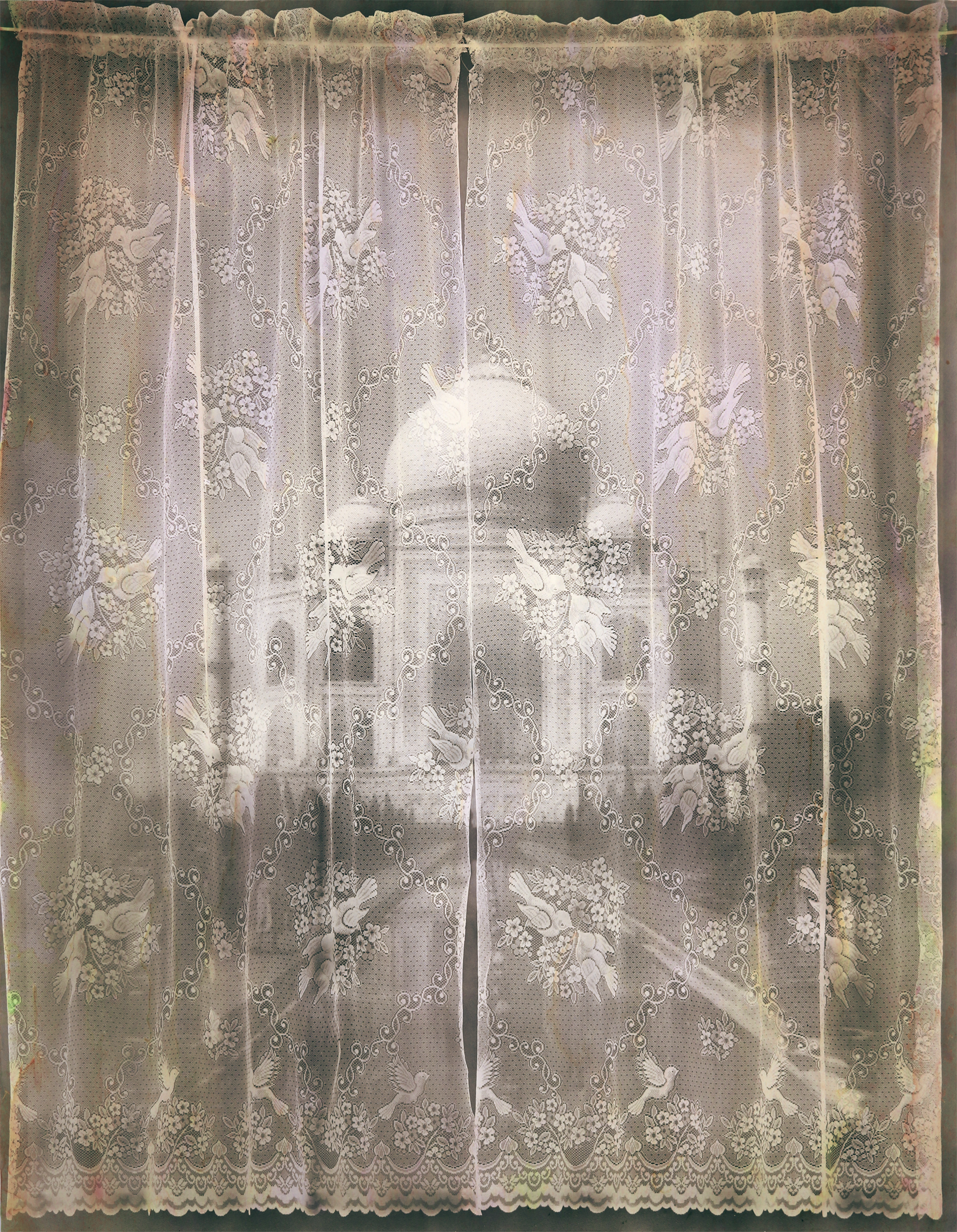 Love Birds Silver Gelatin and Acrylic Ink on 300gsm Saunders Waterford Paper 195 x152 cm