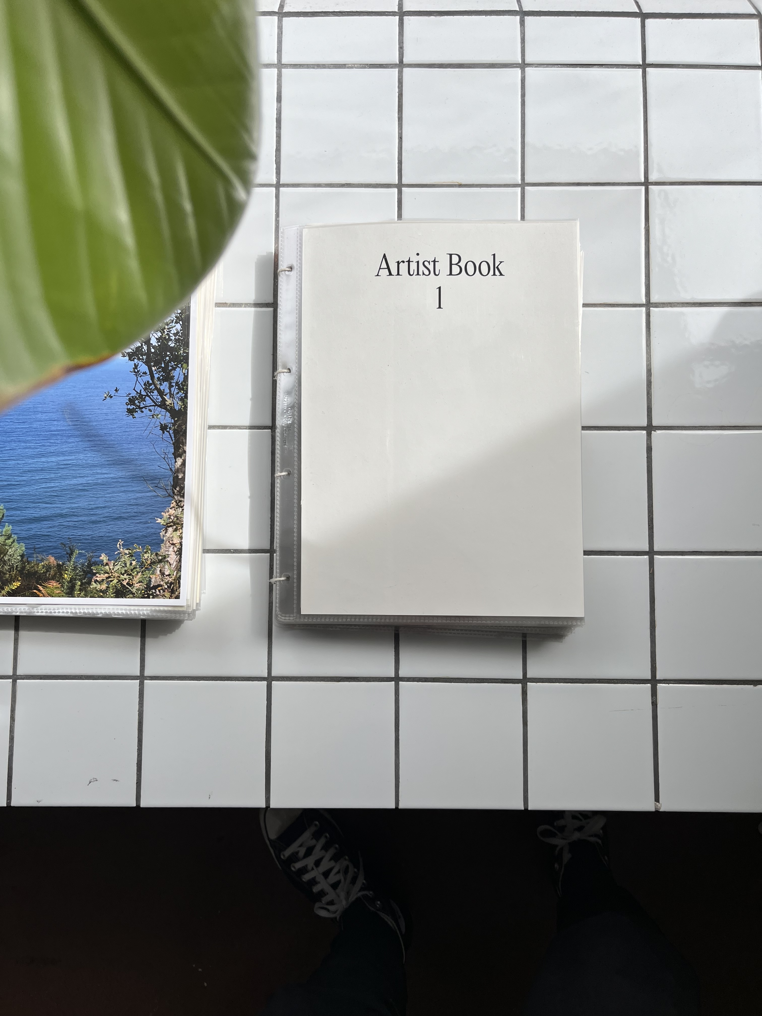 Recently, I started putting all the dirty papers into viewing folders and call it «Artist Book»  Zurich 2024