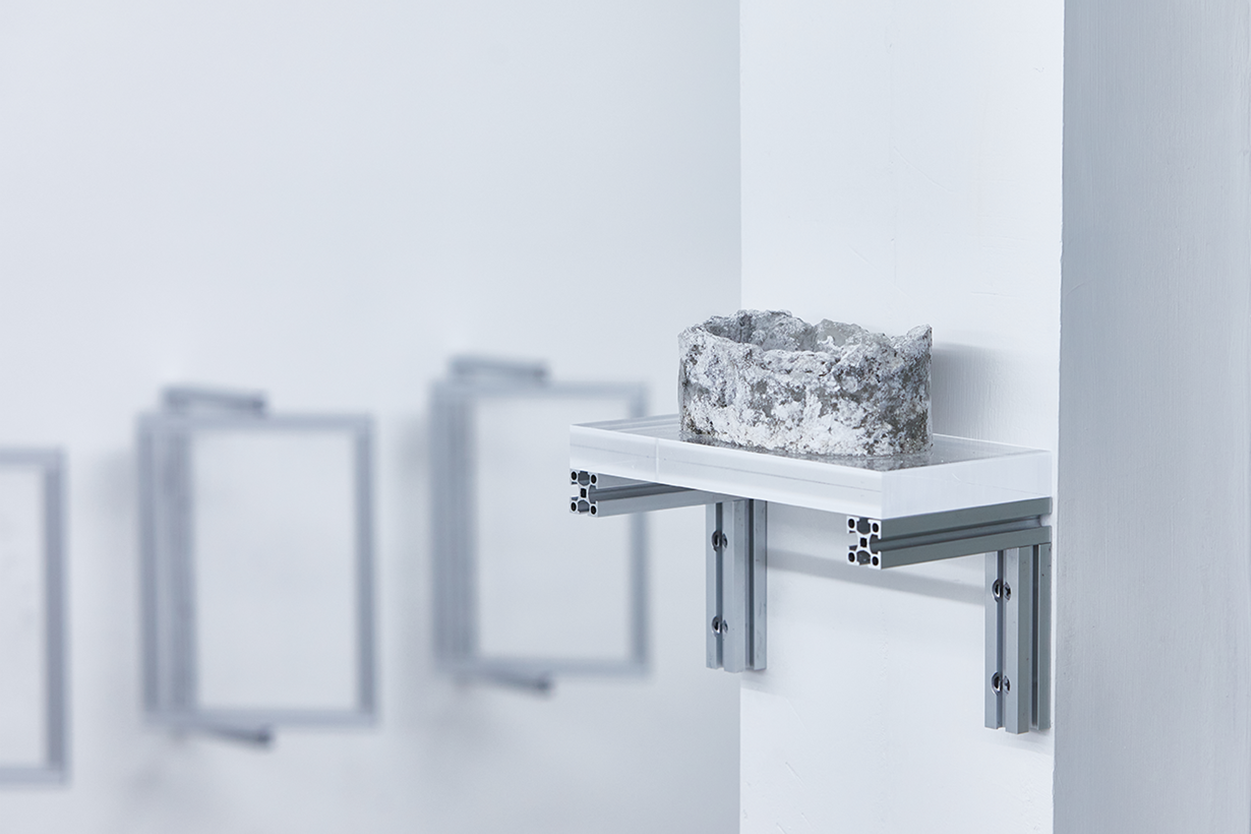 Bitchondria Fossil & Bitchondria Antiparticle Fossil (2022)