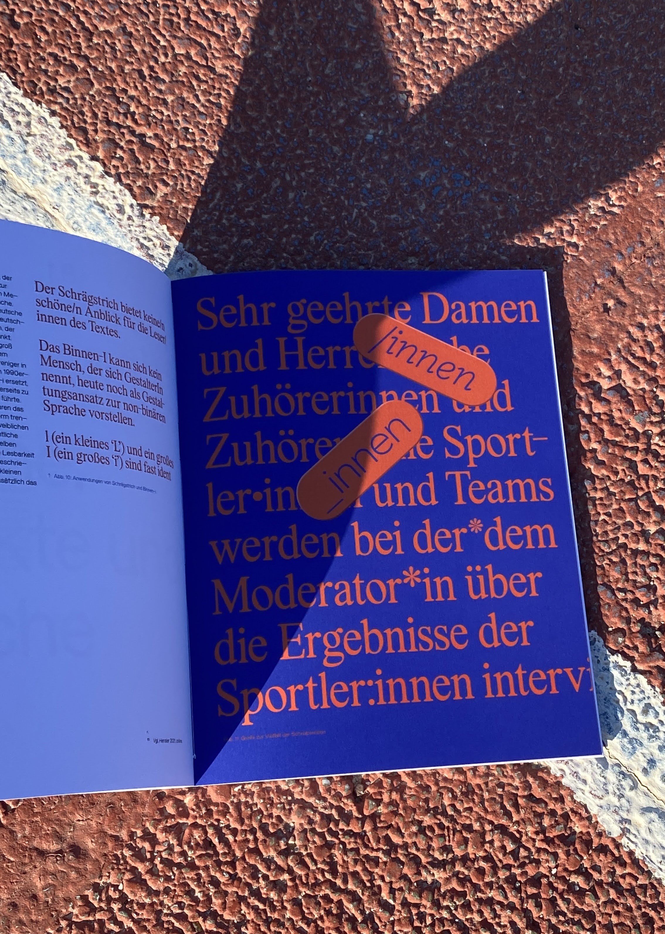 (1) Schrift + Sprache / Bachelor thesis