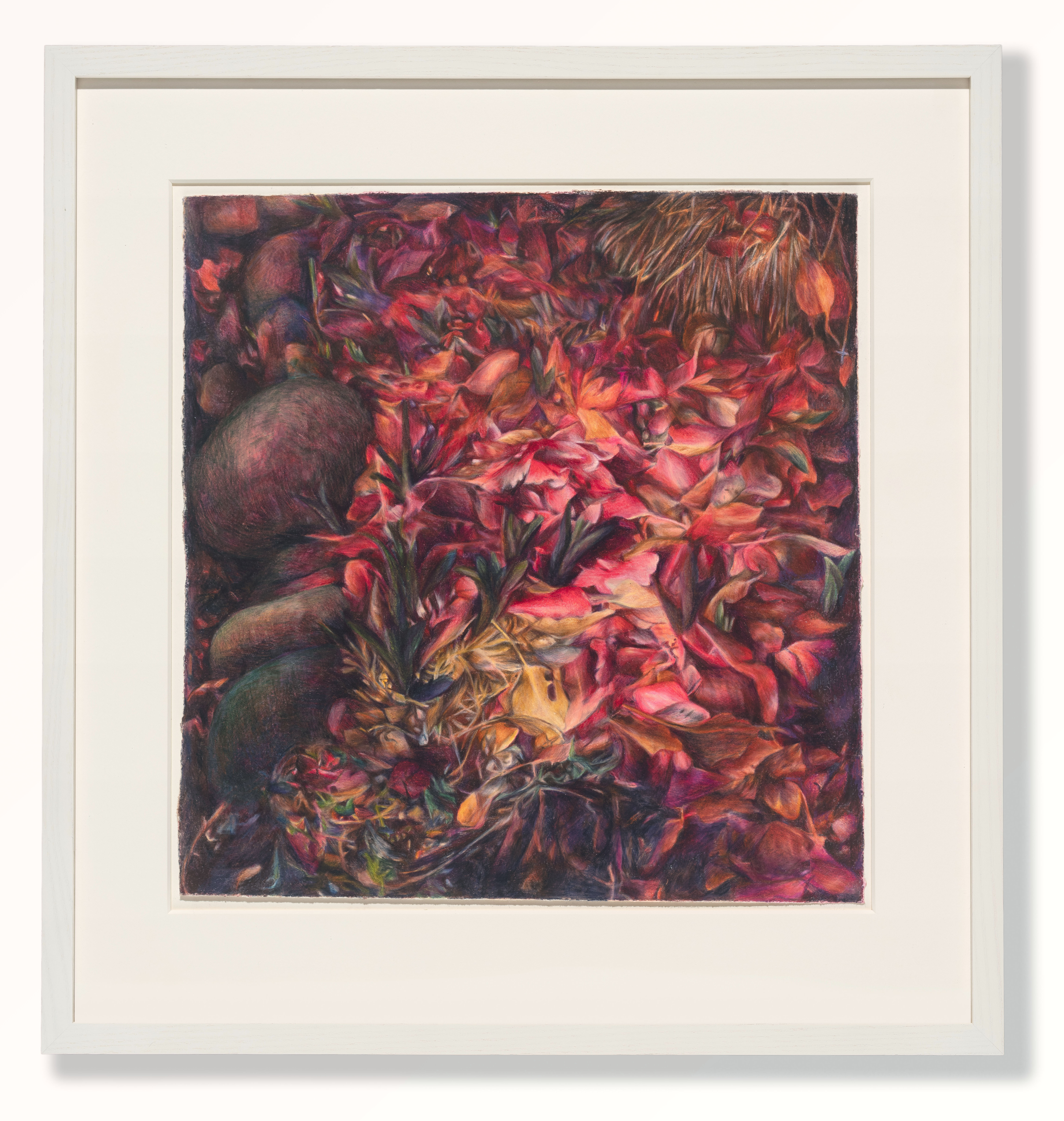 Scorched Earth (2024) colored pencil on paper, 12 x 14 in