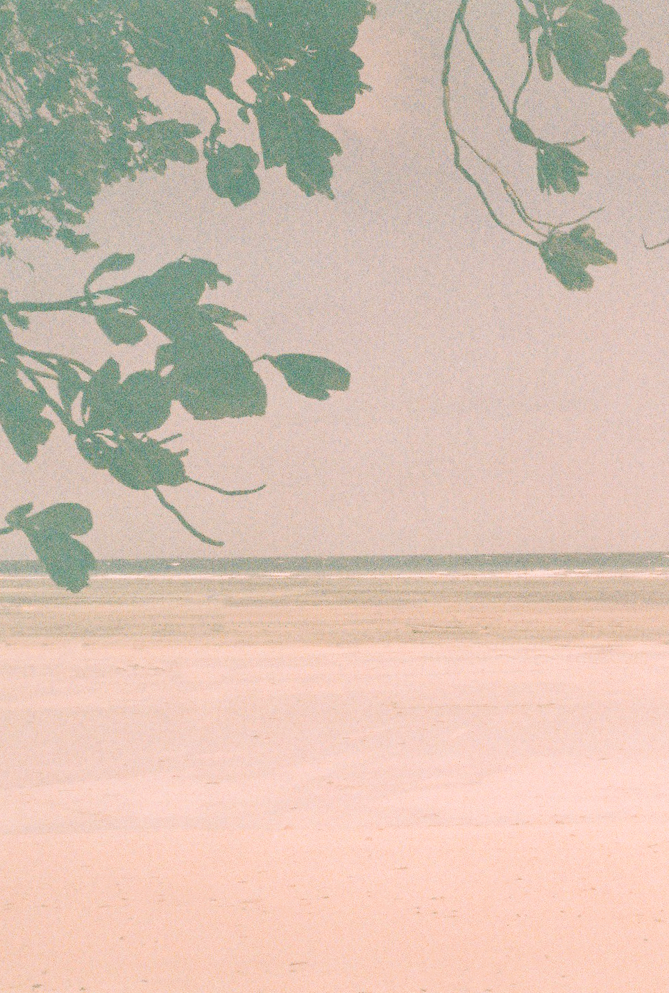 4. Zanzibar beach