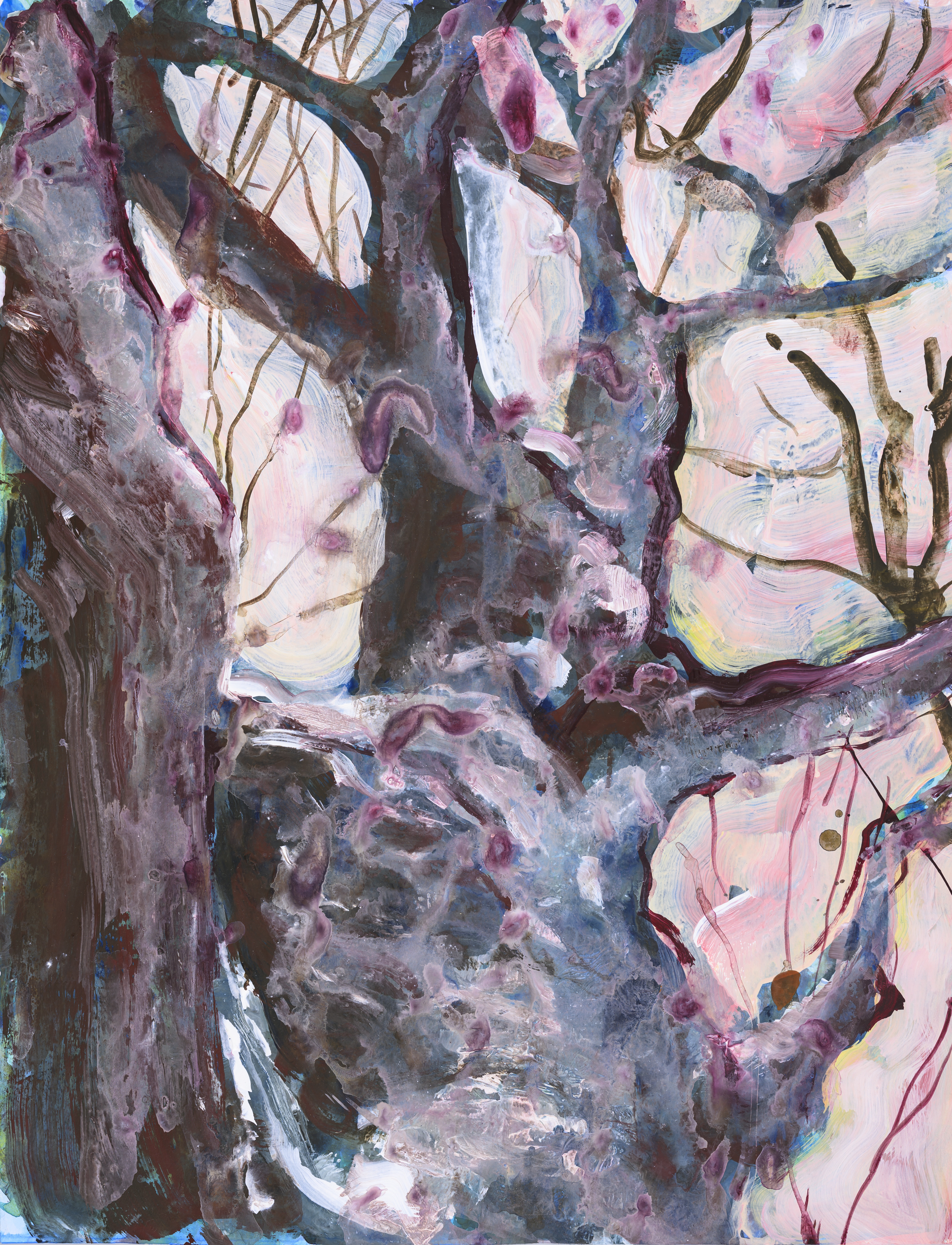 Study of nature 2003Acrylic on paper 65×50cm