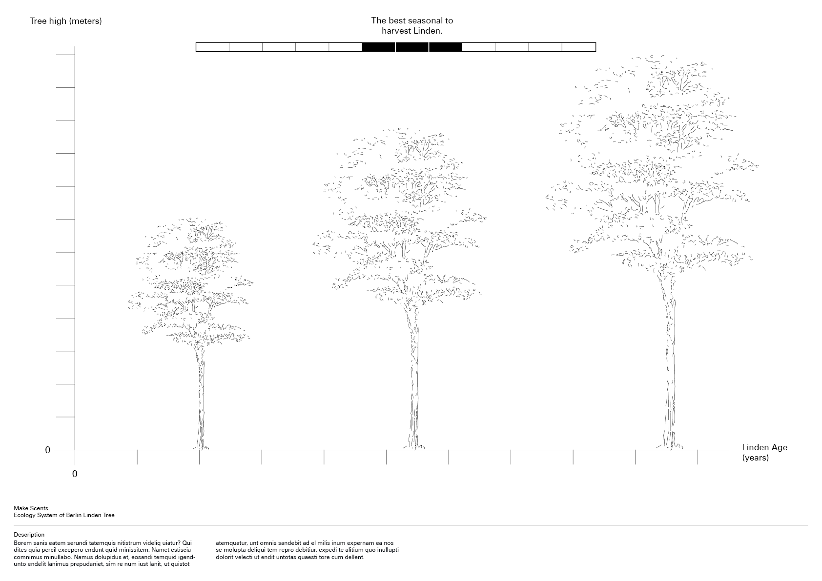 thesis in progress berlage