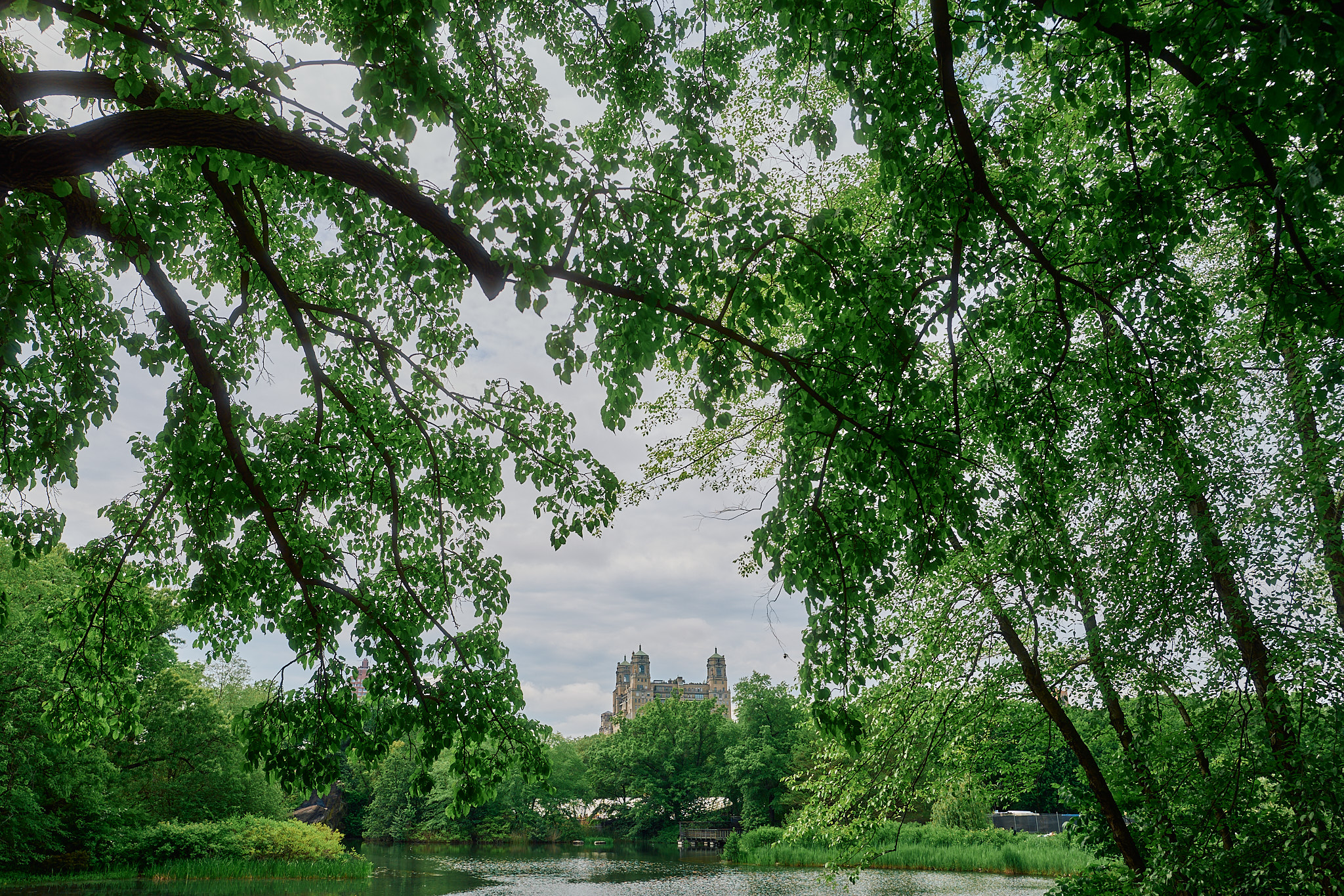 Central Park - New York City