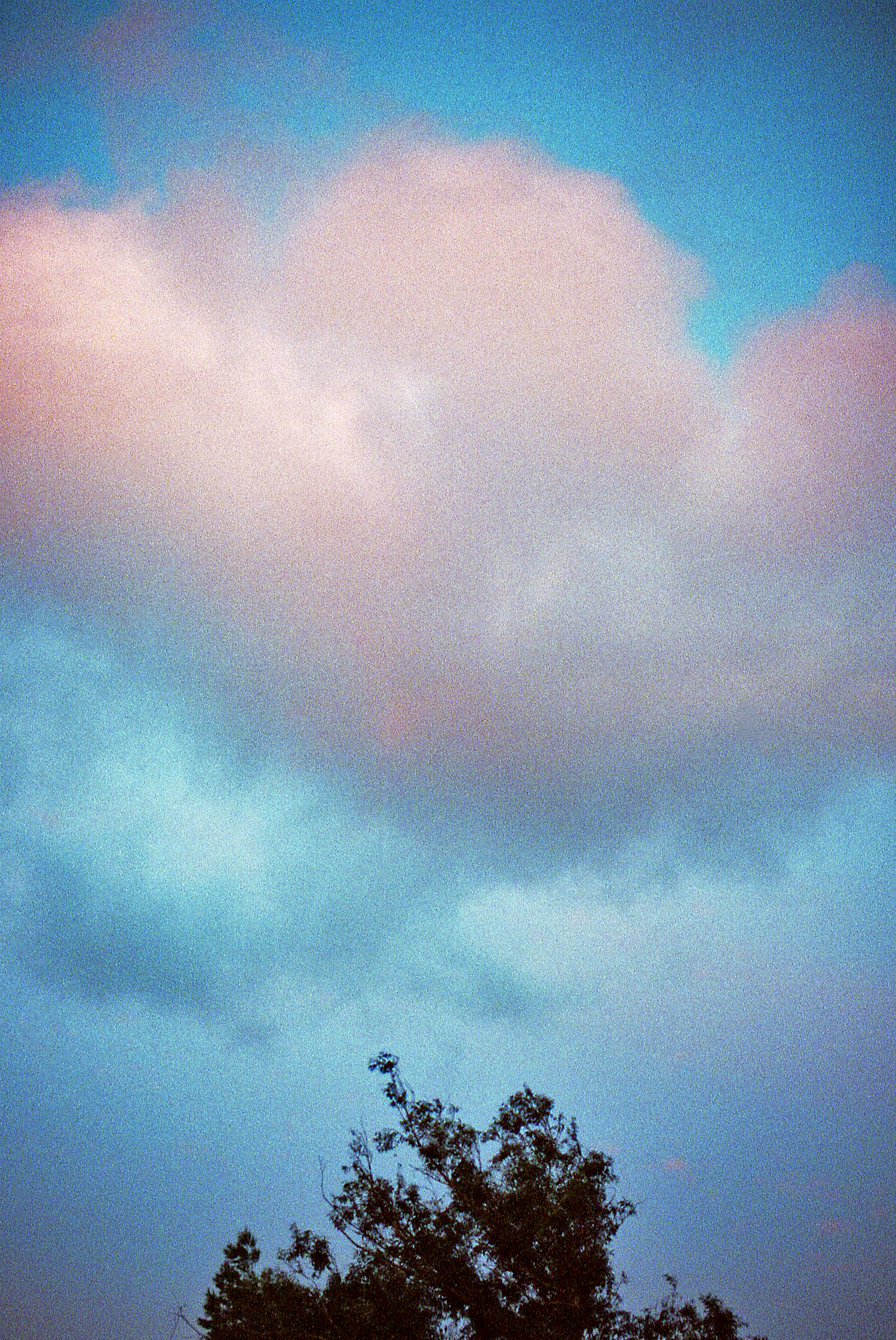 Pink, Los Angeles, CA, 2019