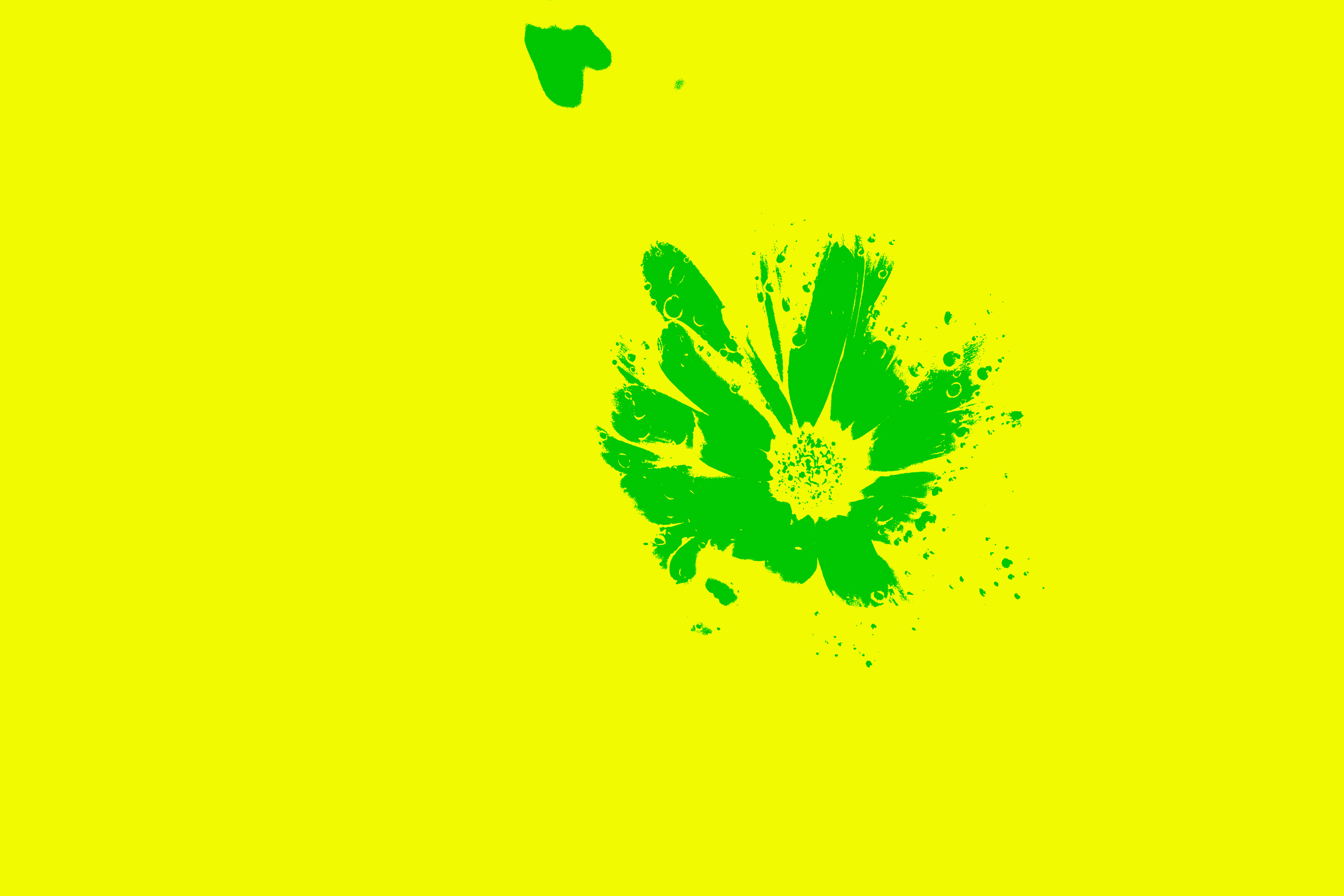 Blume auf Gelb / Glas