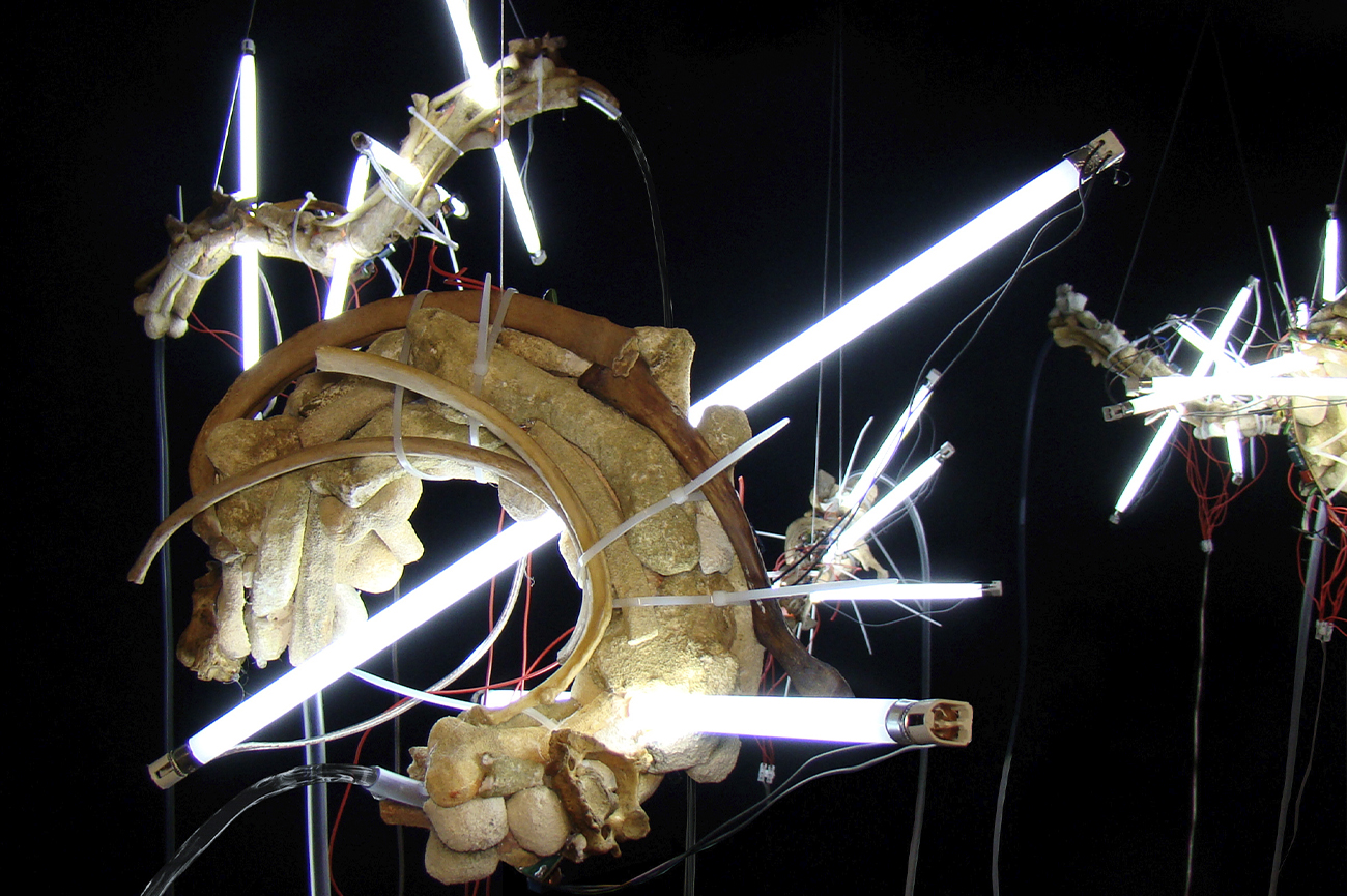 Máximo Corvalán-PincheiraProyecto ADN, 2012Fuente de agua y 17 piezas escultóricas realizadas con huesos y tubos fluorescentesDimensiones variables