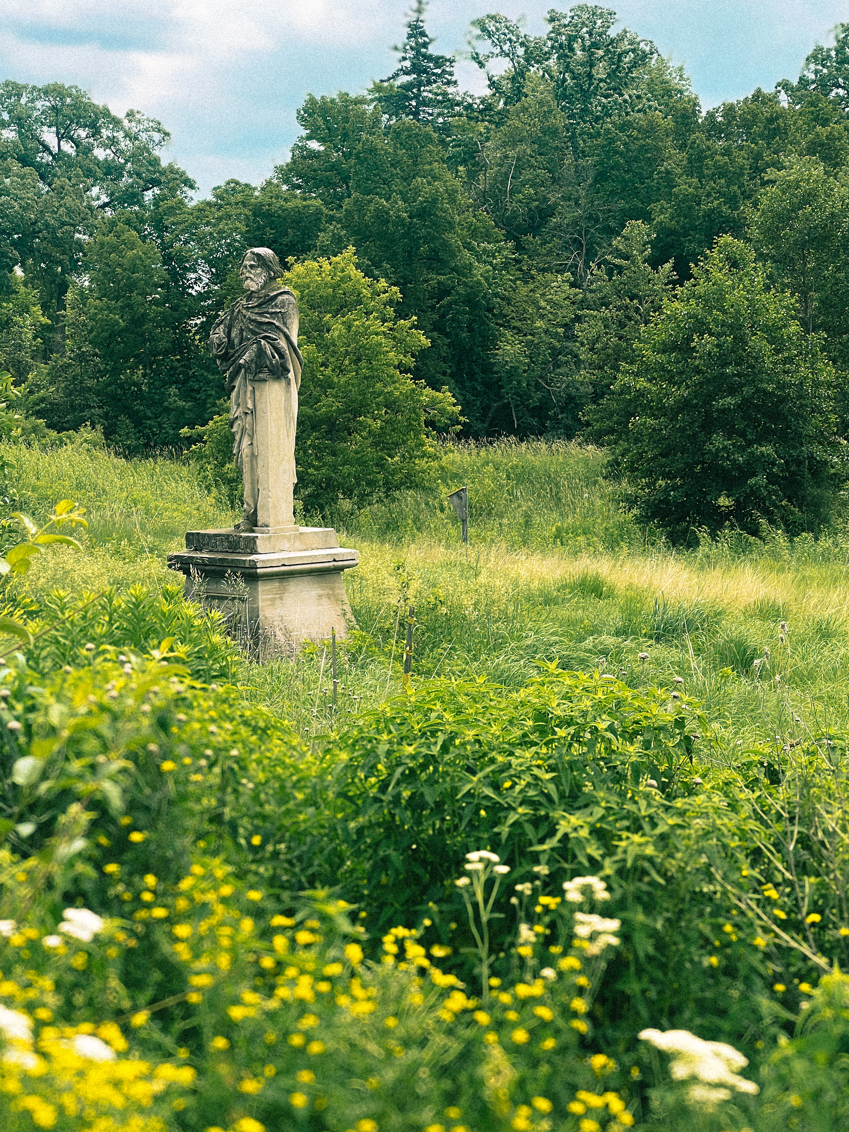 Local public gardens.