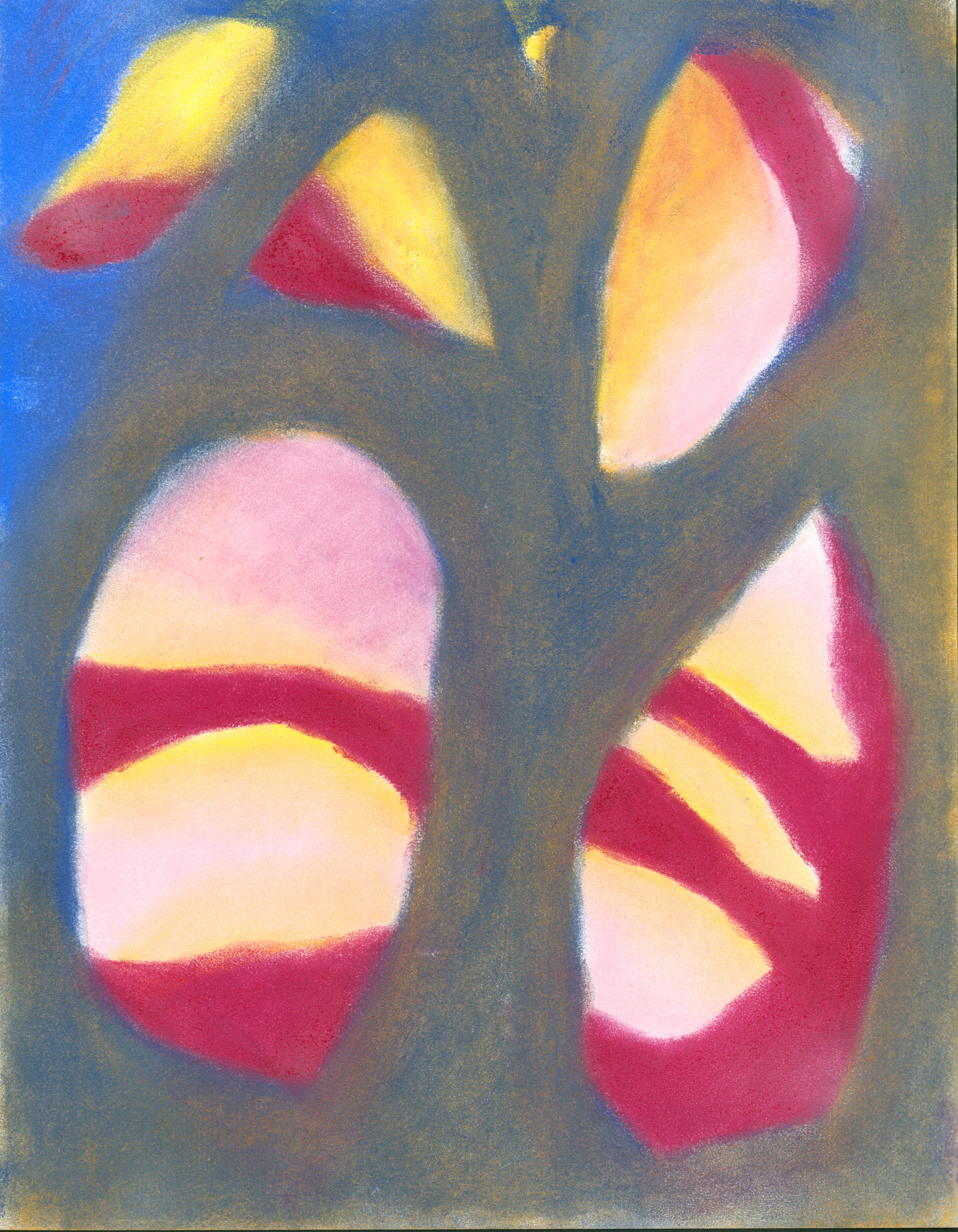 Oak Woodland, soft pastel on paper, 2021