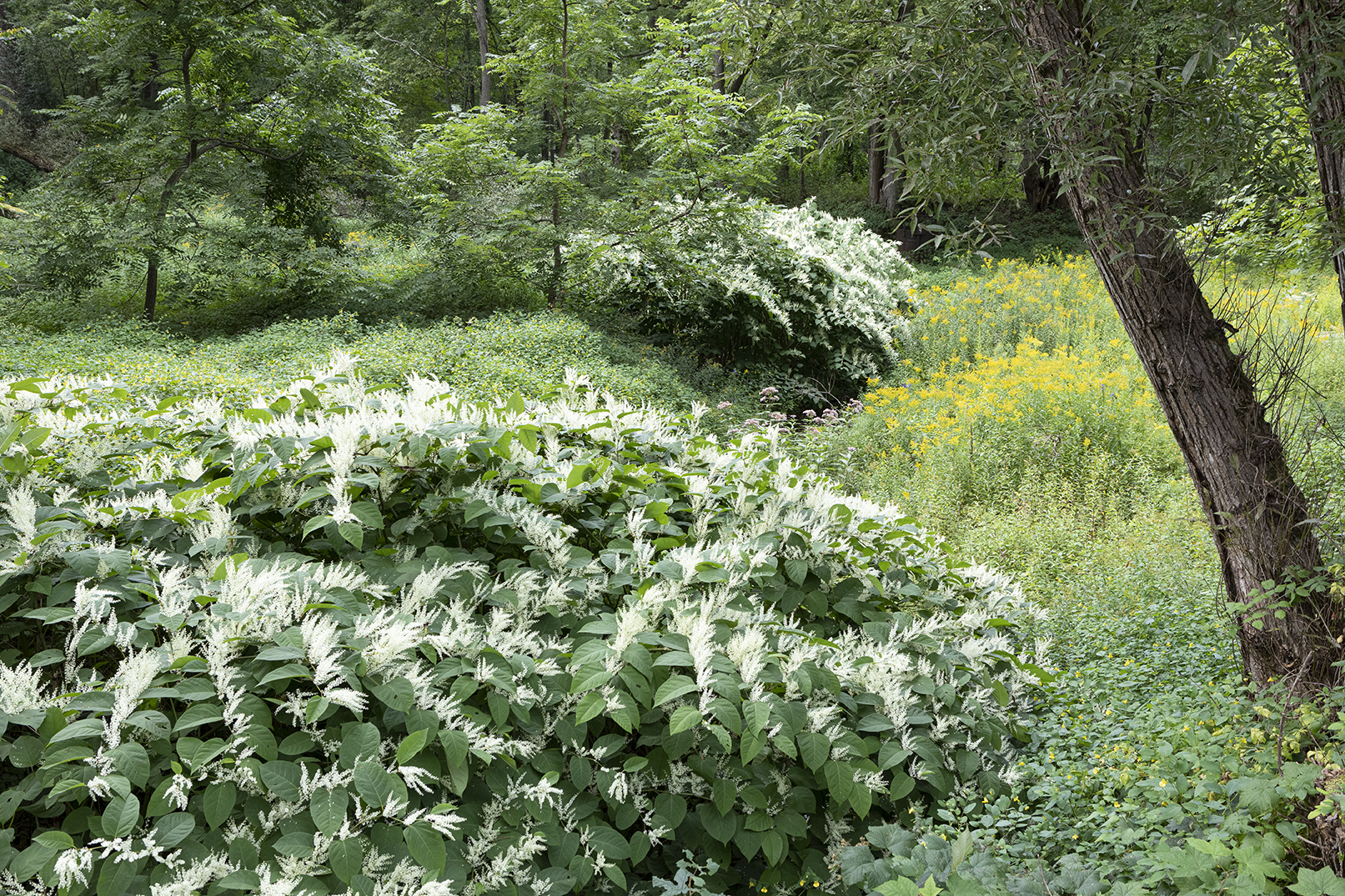 RAF STUDIO PHOTOGRAPHY SHAKERS