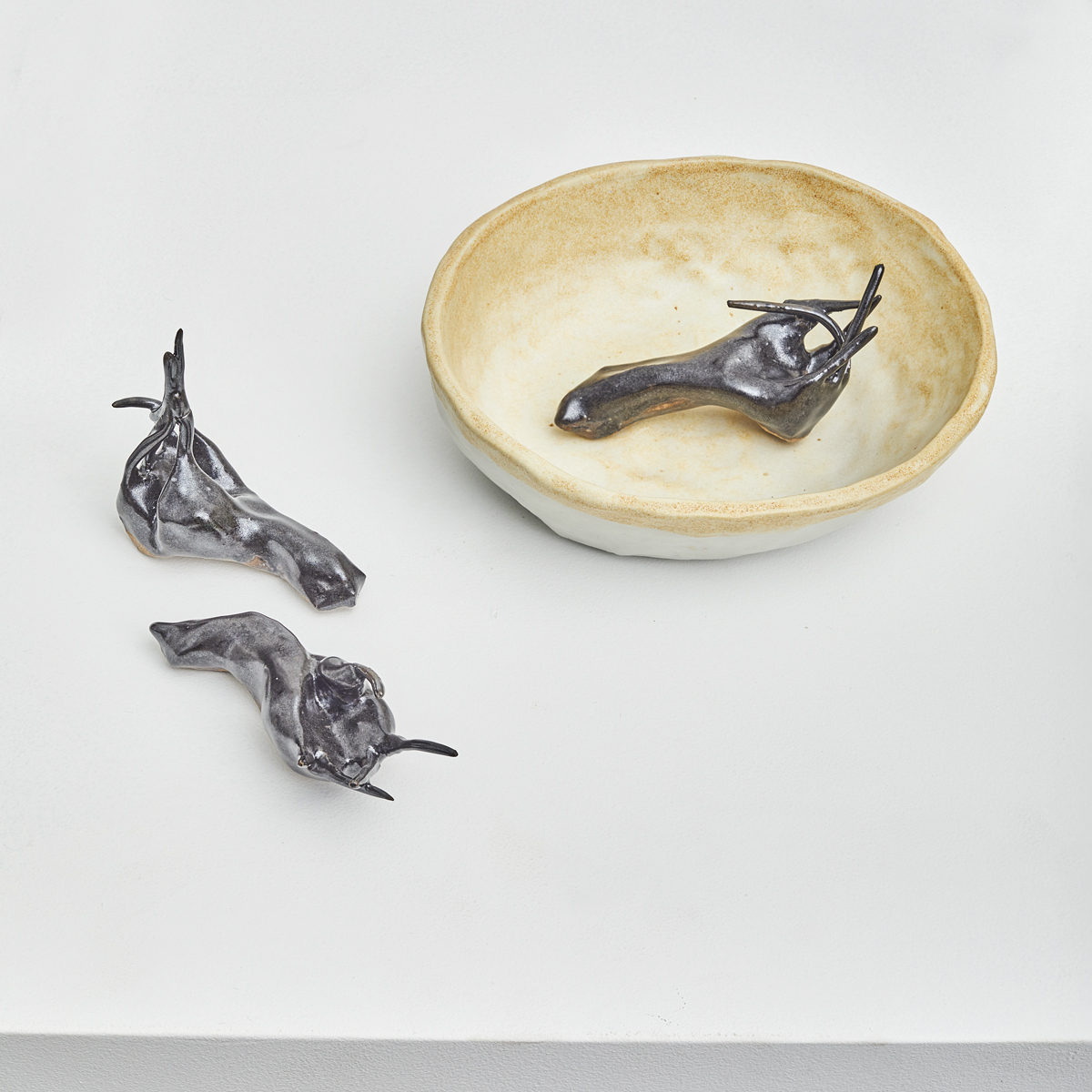 hand shells, 8x8x6 in