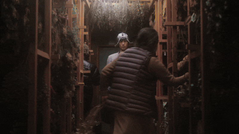 LVMH Prize Digital Showrooms