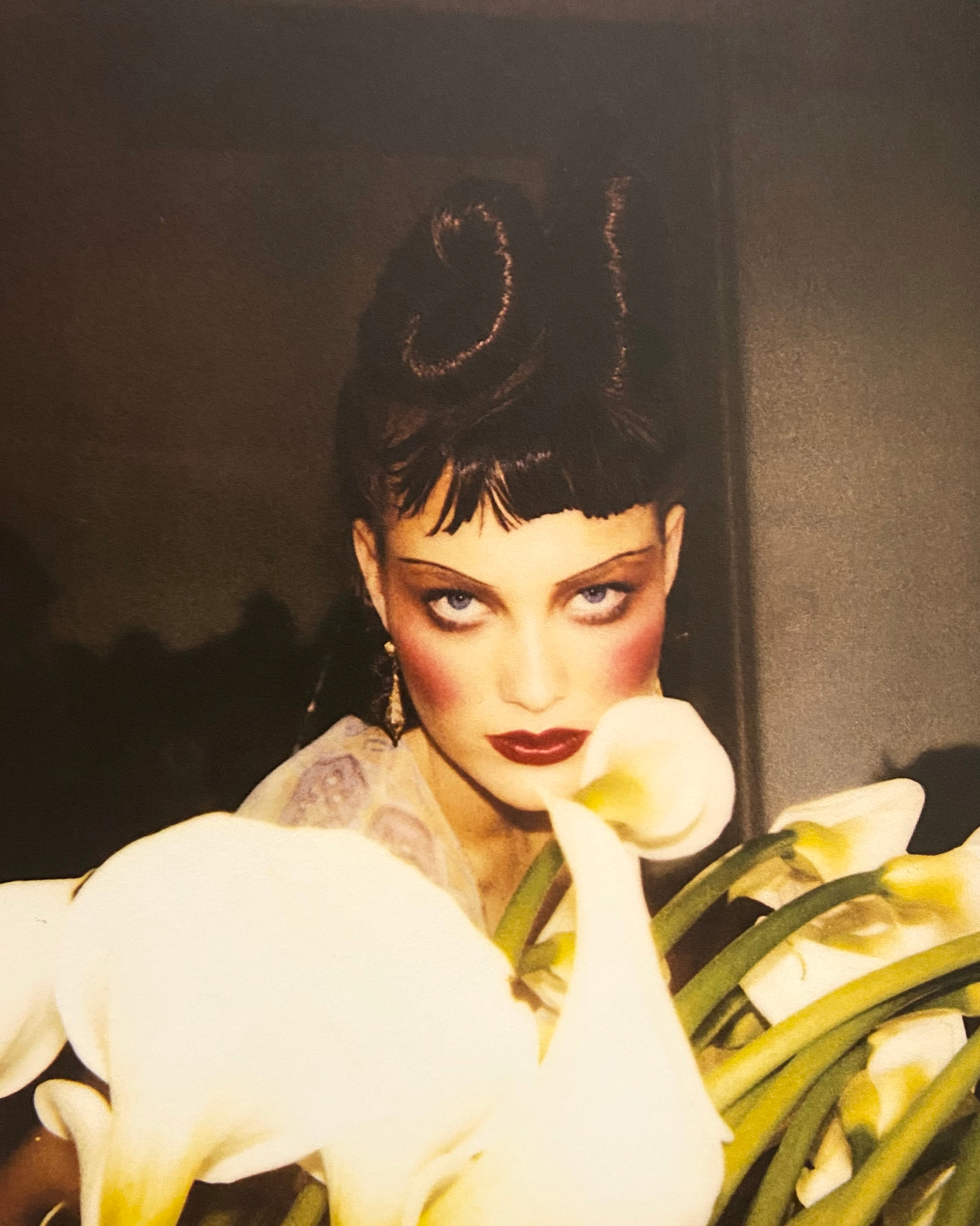 世界の Marais Stephane アート/エンタメ beauty Polaroids book 