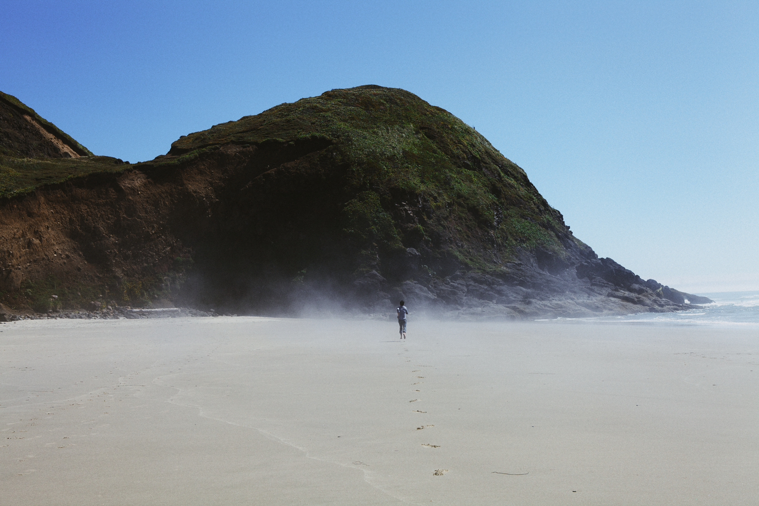 or flight, photograph 2012