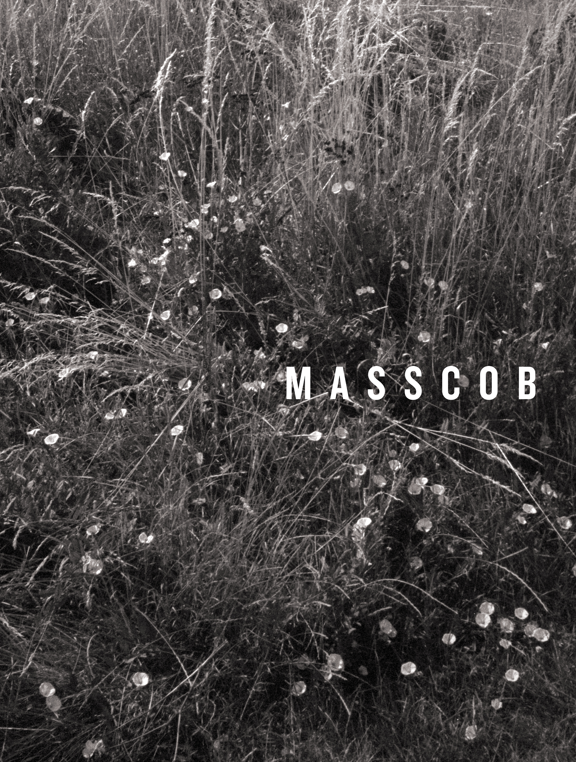 Masscob. (16/75)