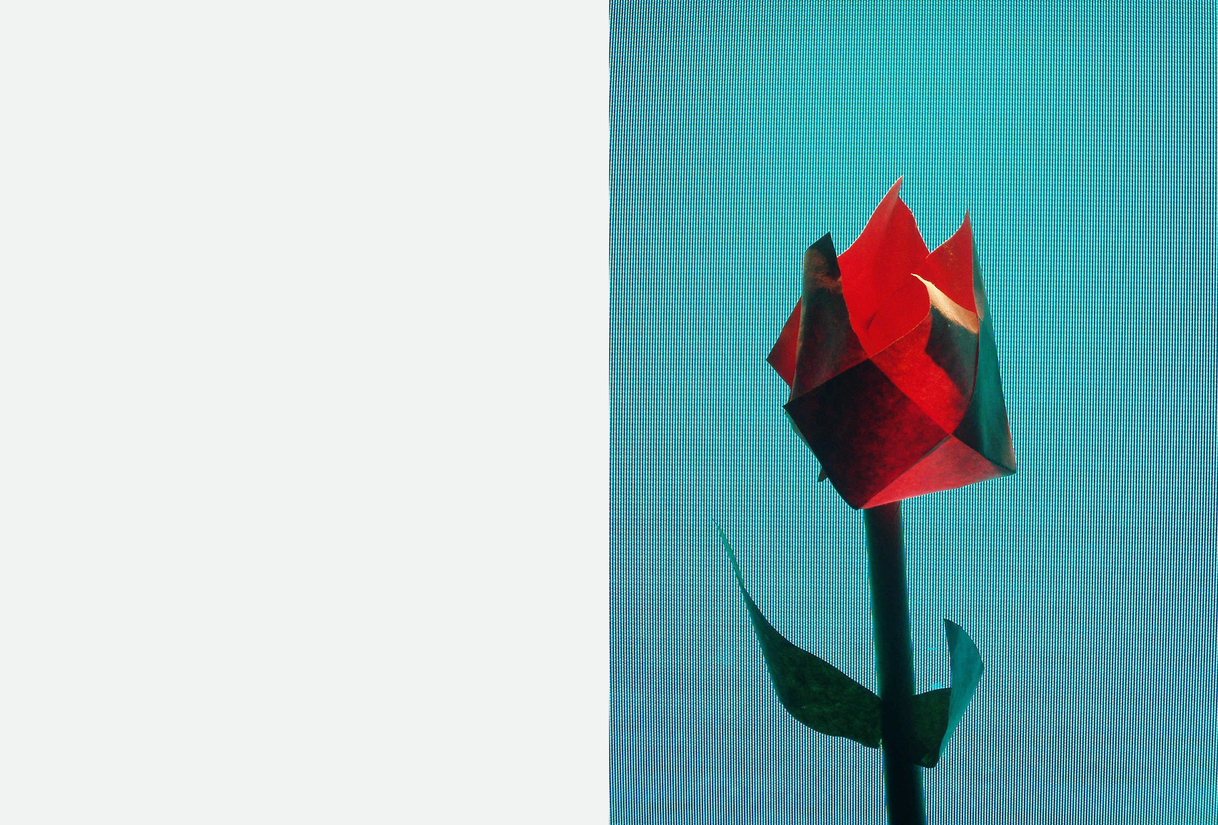  Kindergarten Cut and Fold 2002  TV Blumen  Garden Marathon Serpentine Gallery London (15 October – 16 October 2011)