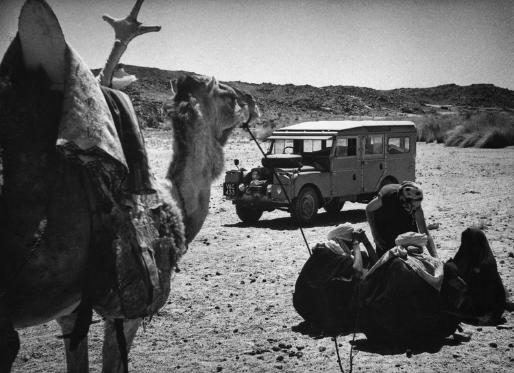 Bedouin Tribesmen and camels enlivened the scenery of a journey across the Sahara Desert, Algerian Sahara 1957