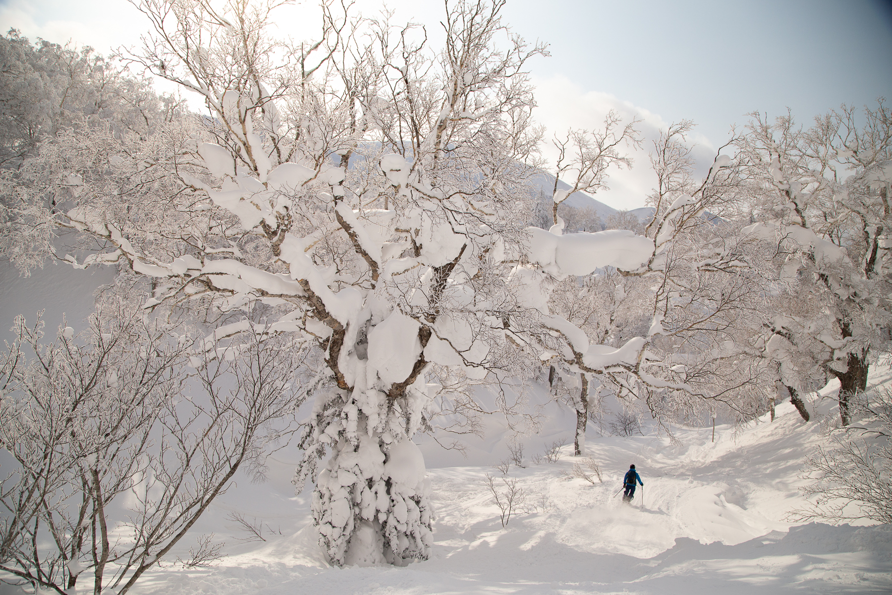 Marco Killer, Hokkaido, Japan, 2023
