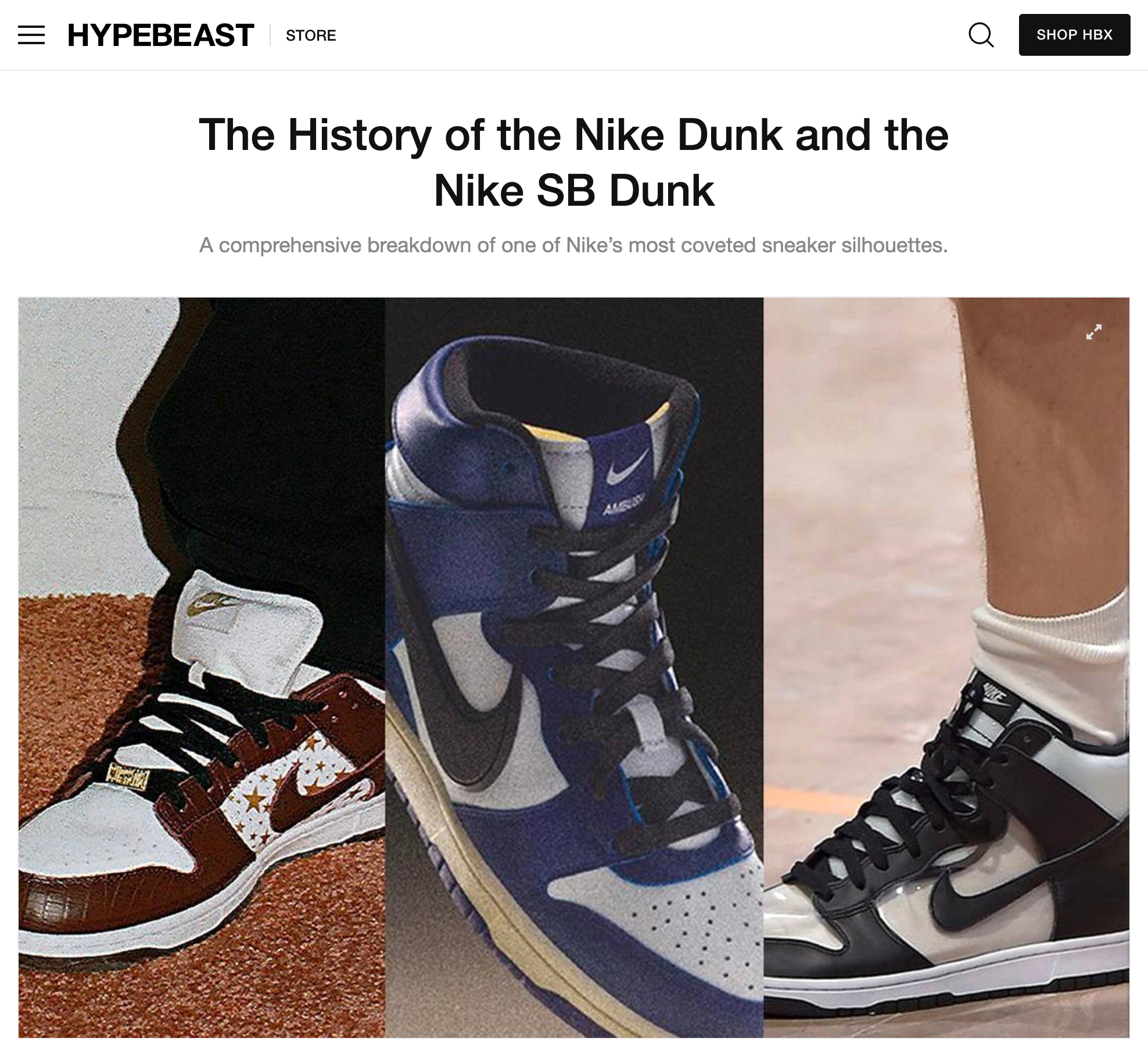 History of the Nike Dunk - novboi