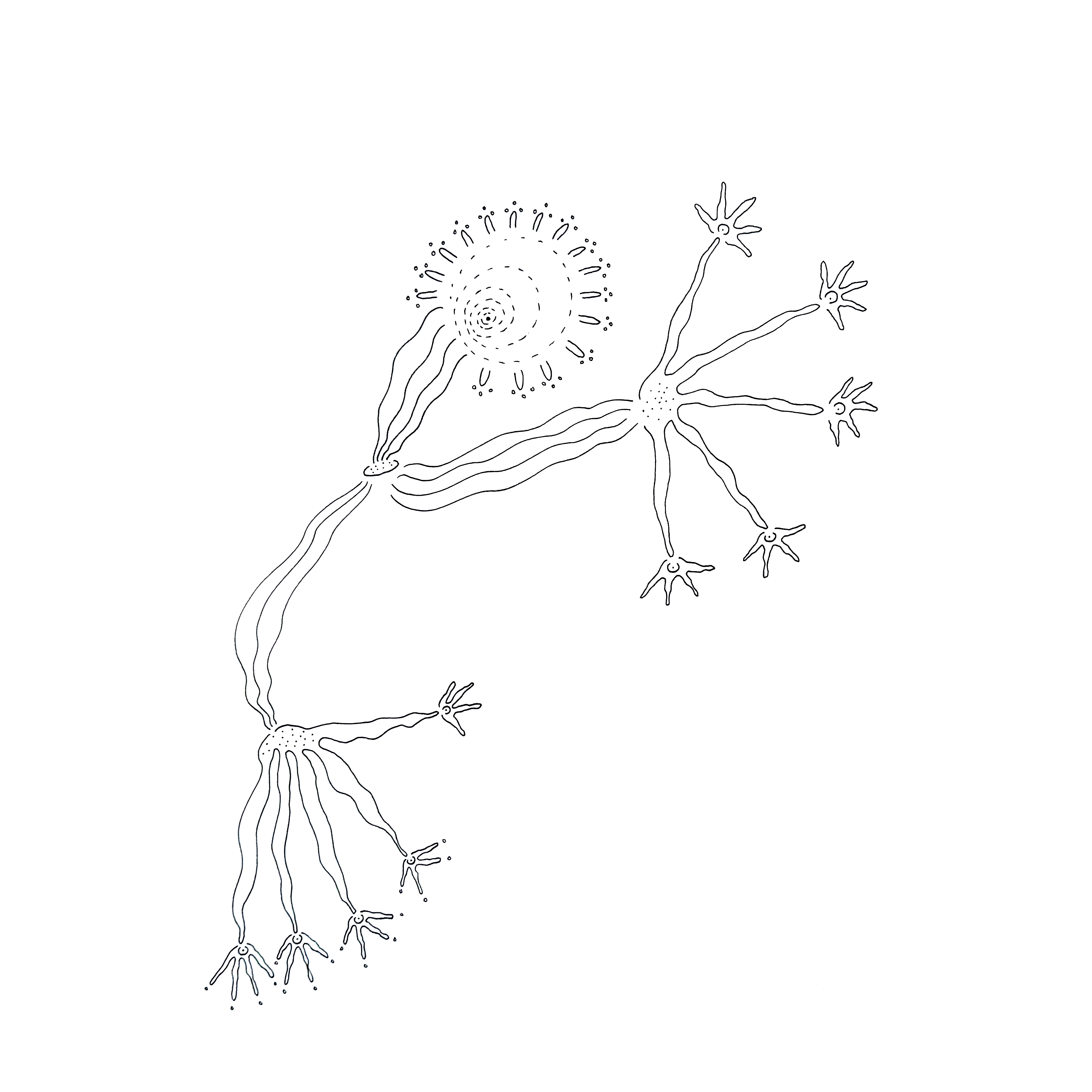 Sun shining, tentacles growing