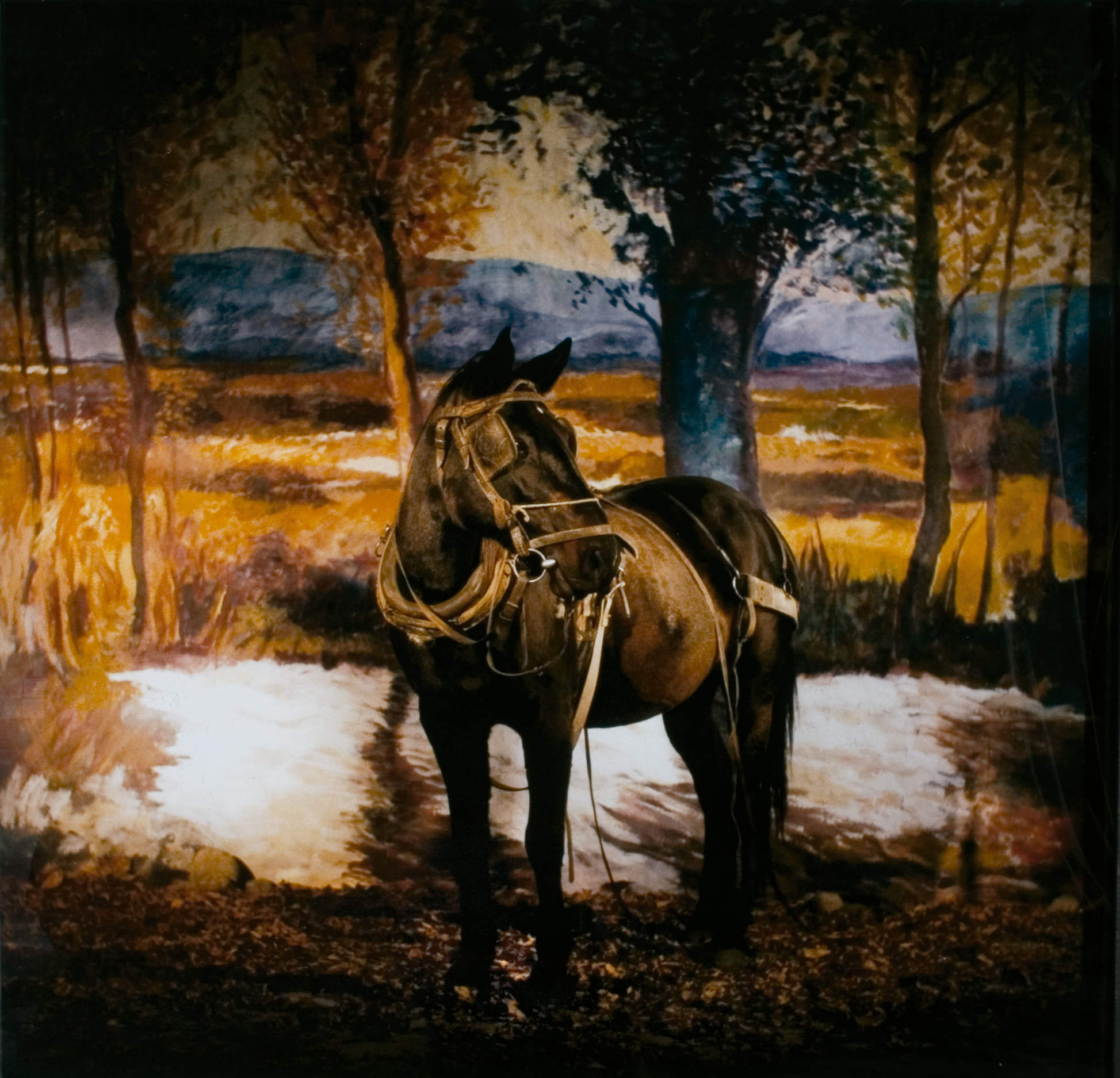 ADRIANA BUSTOS, Sombra en un Cerrito, 2006 Fotografía, toma directa , 120 x 120