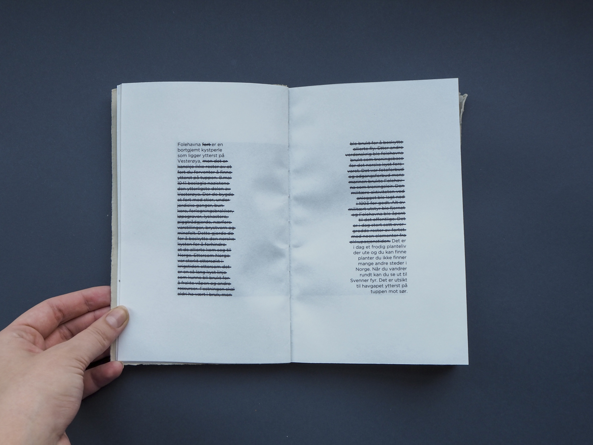 photo, flatlay book