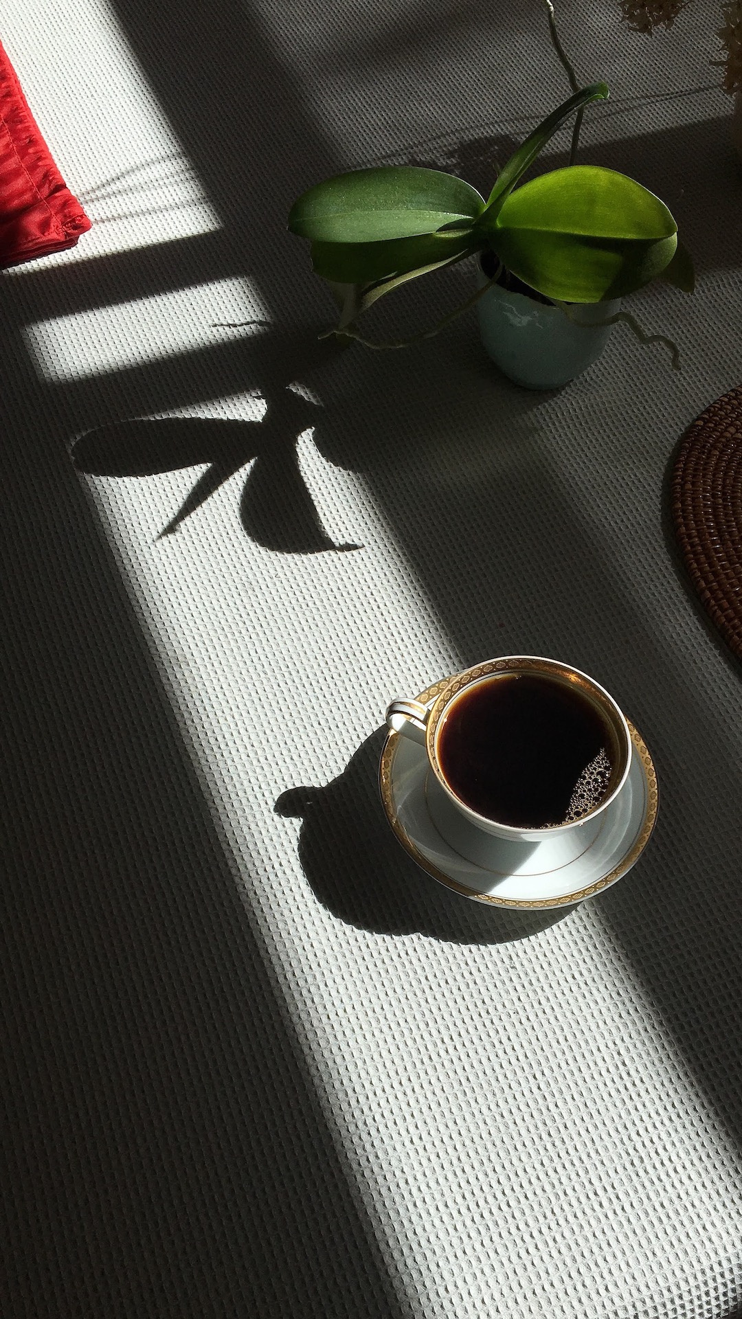 Conversations over coffee 2020 © Yoshika Kon