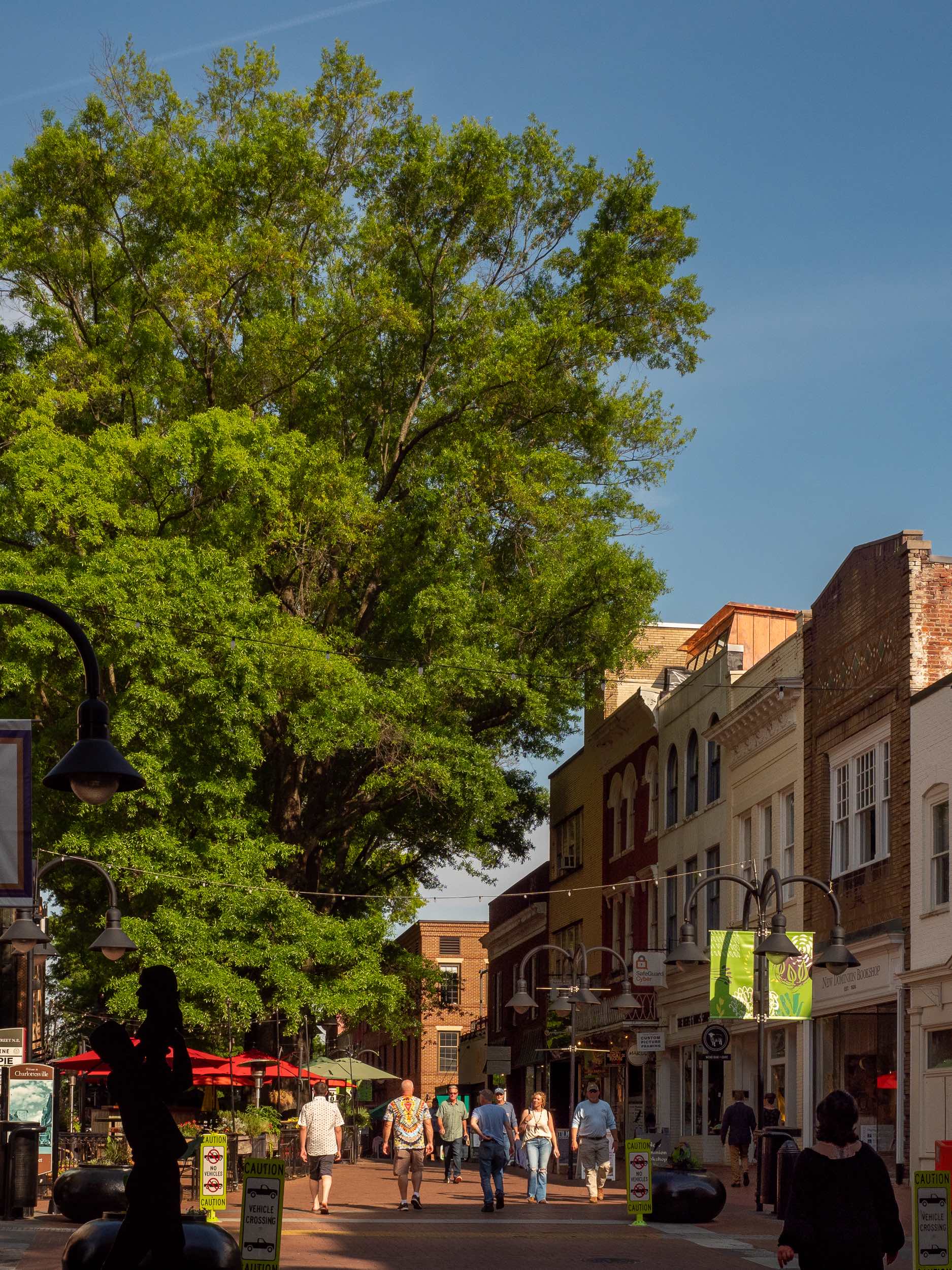 Mall View Summer | Charlottesville Loft Apartment | PARABOLA Architecture | Kevin Burke Photography