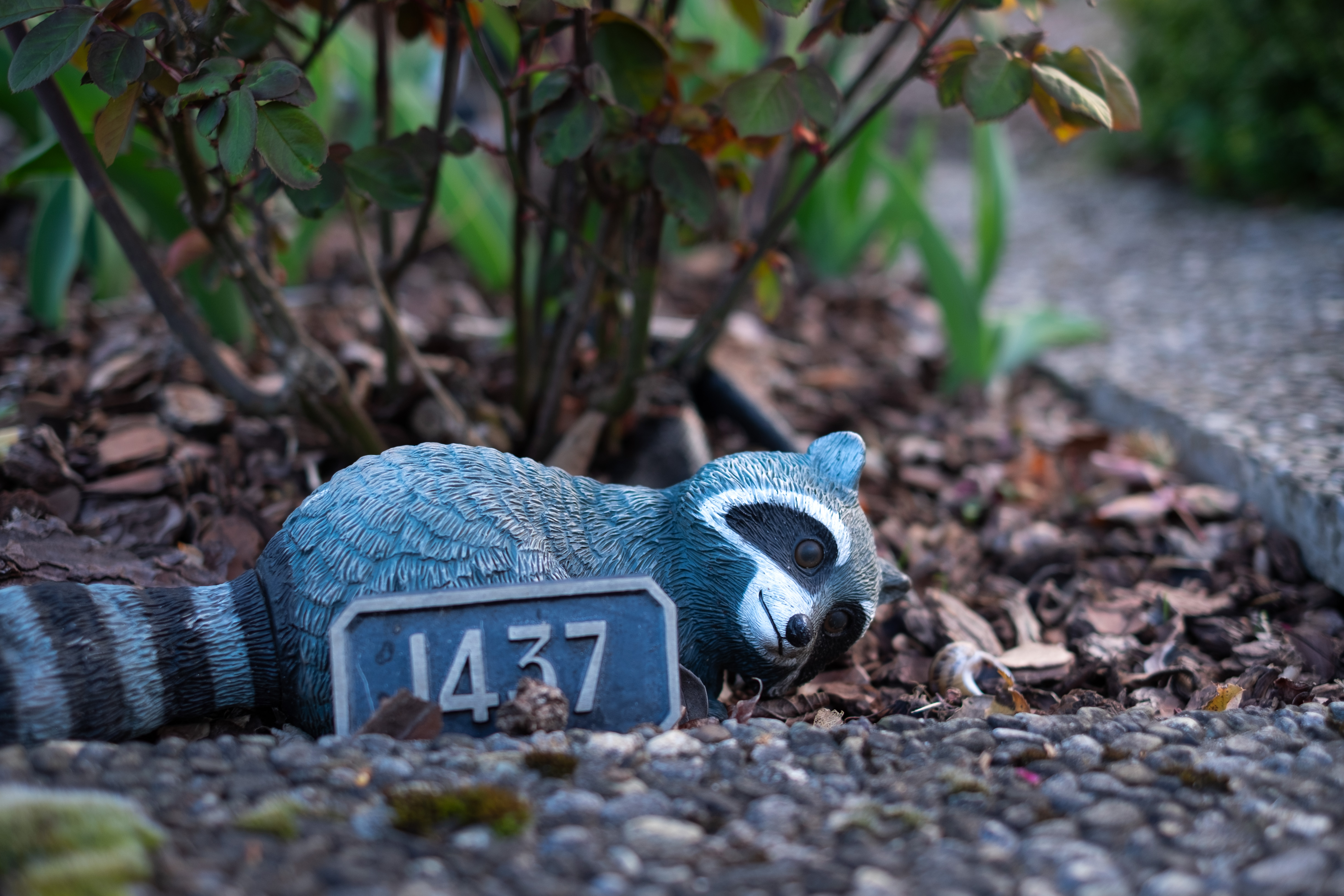 Bestiaire sensible des cimetières