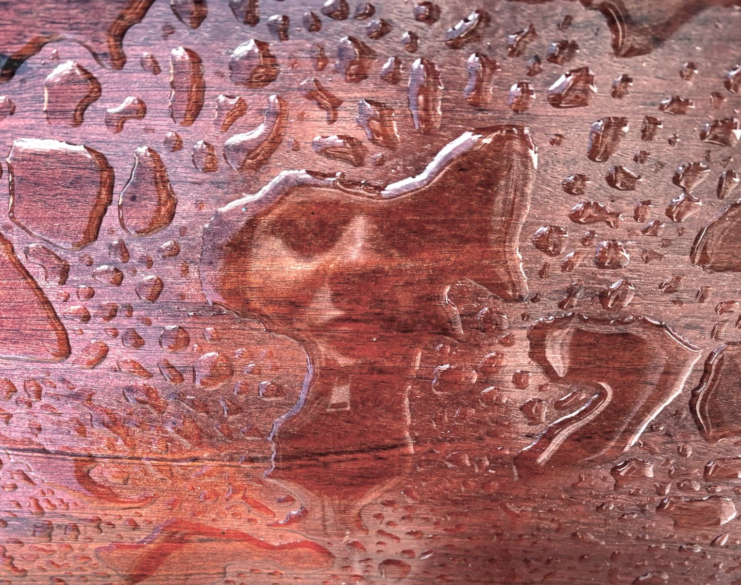 Self-Portrait, Selina Haag, Winterthur, 2025